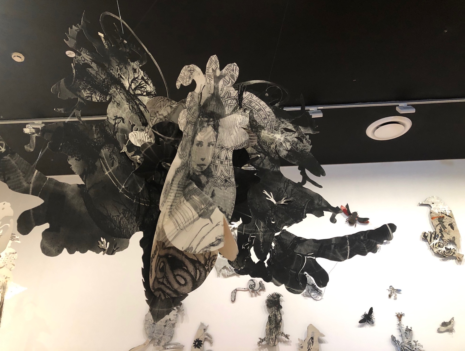 Heather Shimmen, <em>Suspended Anima</em>, 2011, paper cut-out, mixed media, various sizes. Photo: Sheridan Palmer
