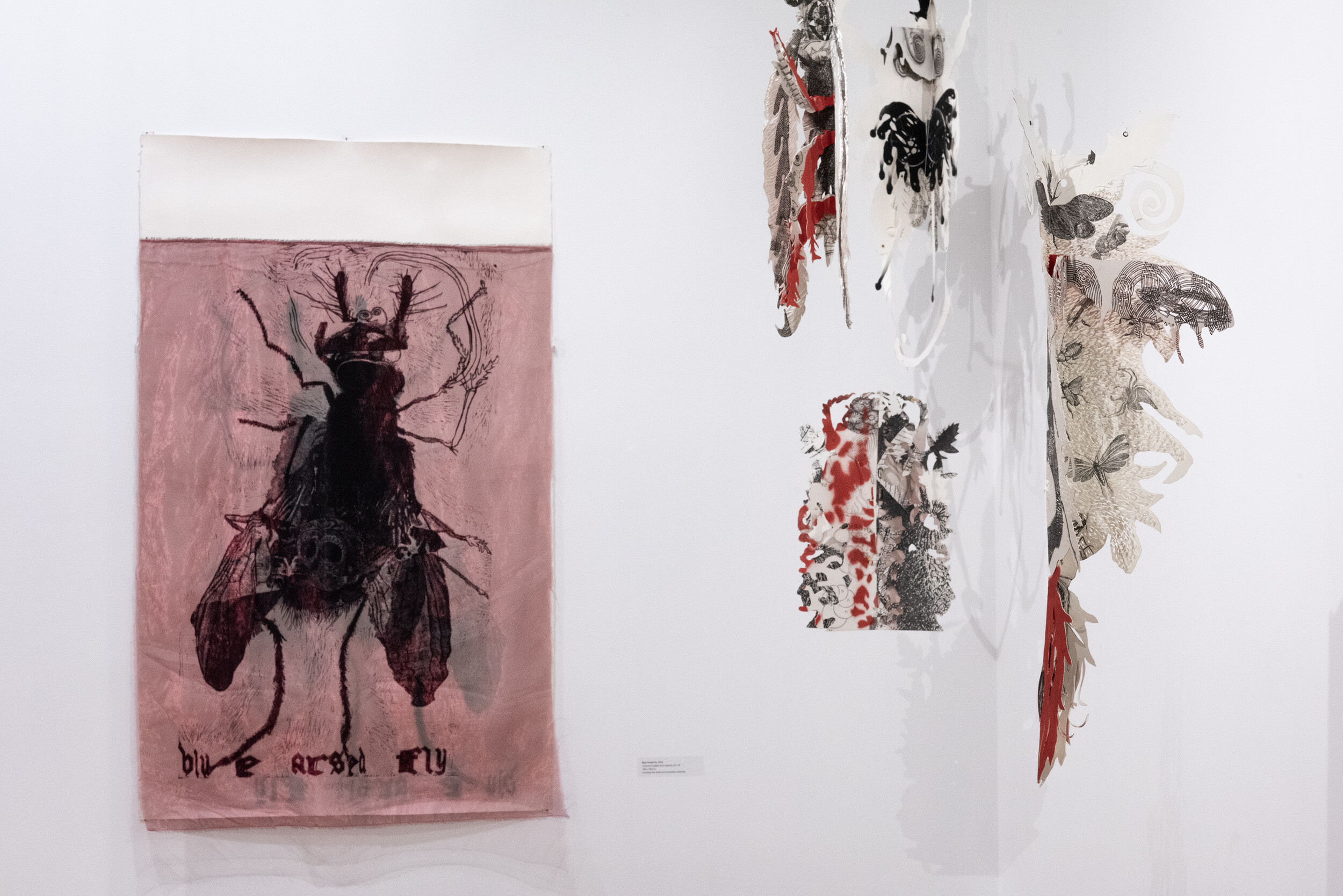 Heather Shimmen, installation view of <em>Blu Arsed Fly</em>, 2008. Linocut, organza, 107 x 138 cm, and <em>Suspened Anima</em>. Photo: David Ashley Kerr.