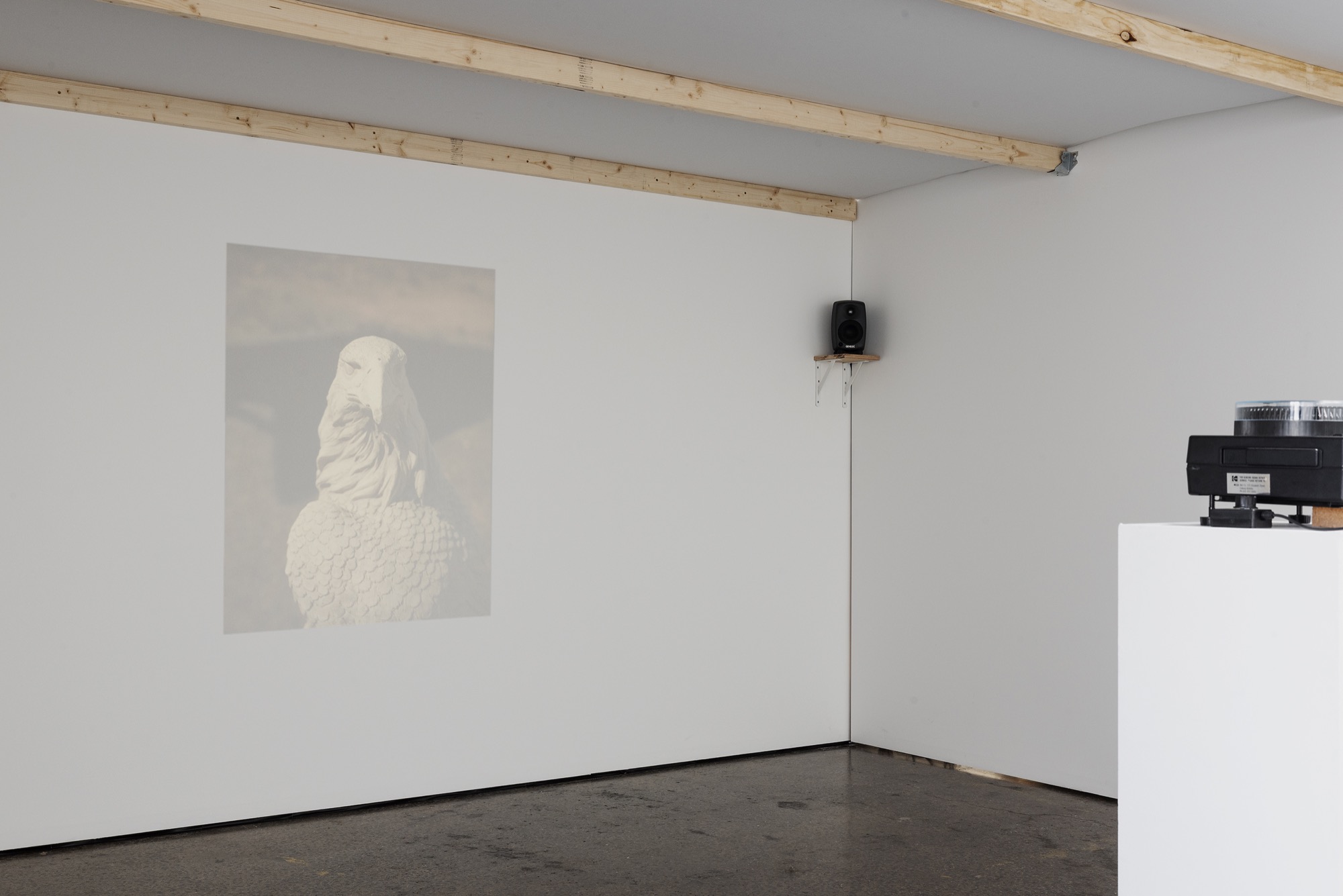 Installation view of Rebecca McCauley and Aaron Claringbold, <em>Here is what we know</em>, HillvaleGallery, 2023. Photo: Aaron Claringbold