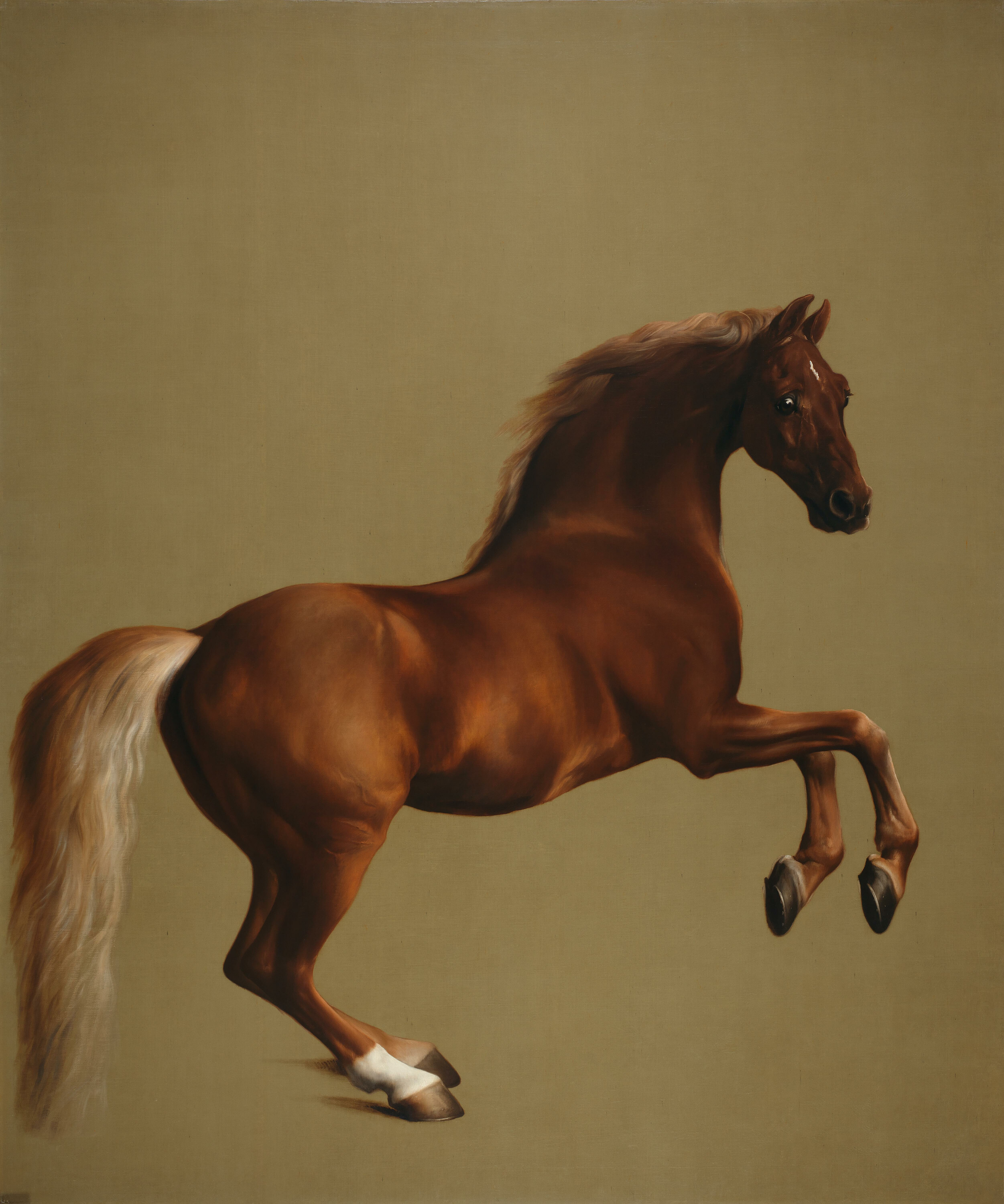 <p>George Stubbs, <em>Whistlejacket</em>, 1762, Oil on canvas, 292 x 246.6 cm, National Gallery, London, Public Domain</p>