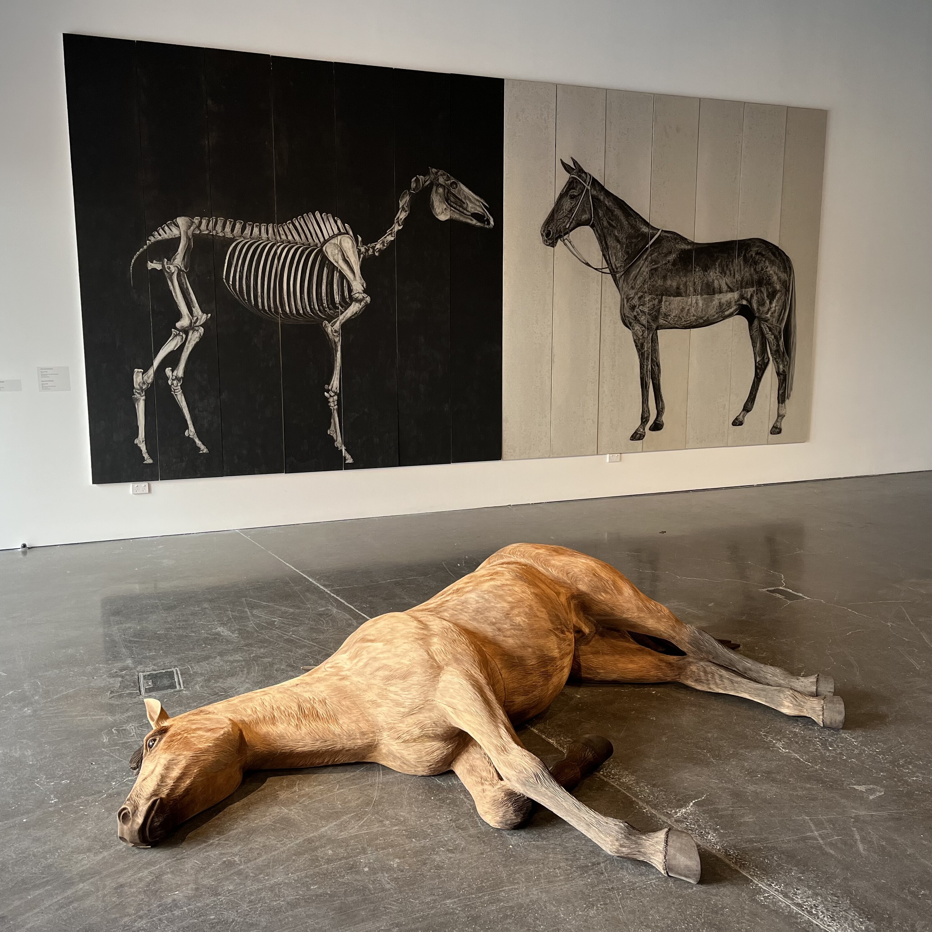 <p>Installation view of Abdul-Rahman Abdullah,<em> Dead Horse</em>, 2022, Carved and stained wood, 60 x 216 x 290cm, courtesy of the artist and Moore Contemporary; Anna Louise Richardson, <em>Phar Lap: Skin</em>, 2017, Charcoal on cement fibreboard, 300 x 322 cm, courtesy of the artist; Anna Louise Richardson, <em>Phar Lap: Bone</em>, 2017, Charcoal on cement fibreboard, 300 x 322 cm, courtesy of the artist</p>