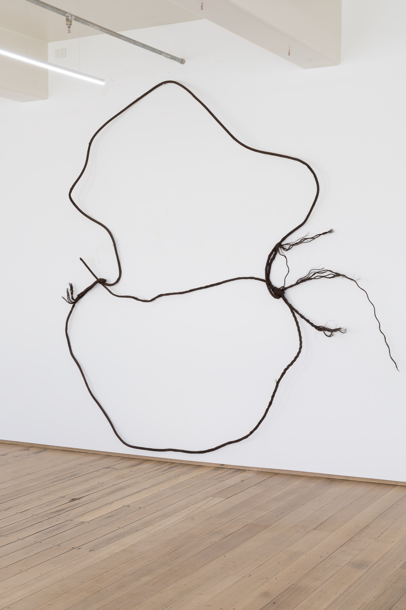 Lorraine Connelly-Northey, <em>Narrbong</em>, 2020. Wire cable; courtesy of the artist. Credit: Photography by Aaron Christopher Rees