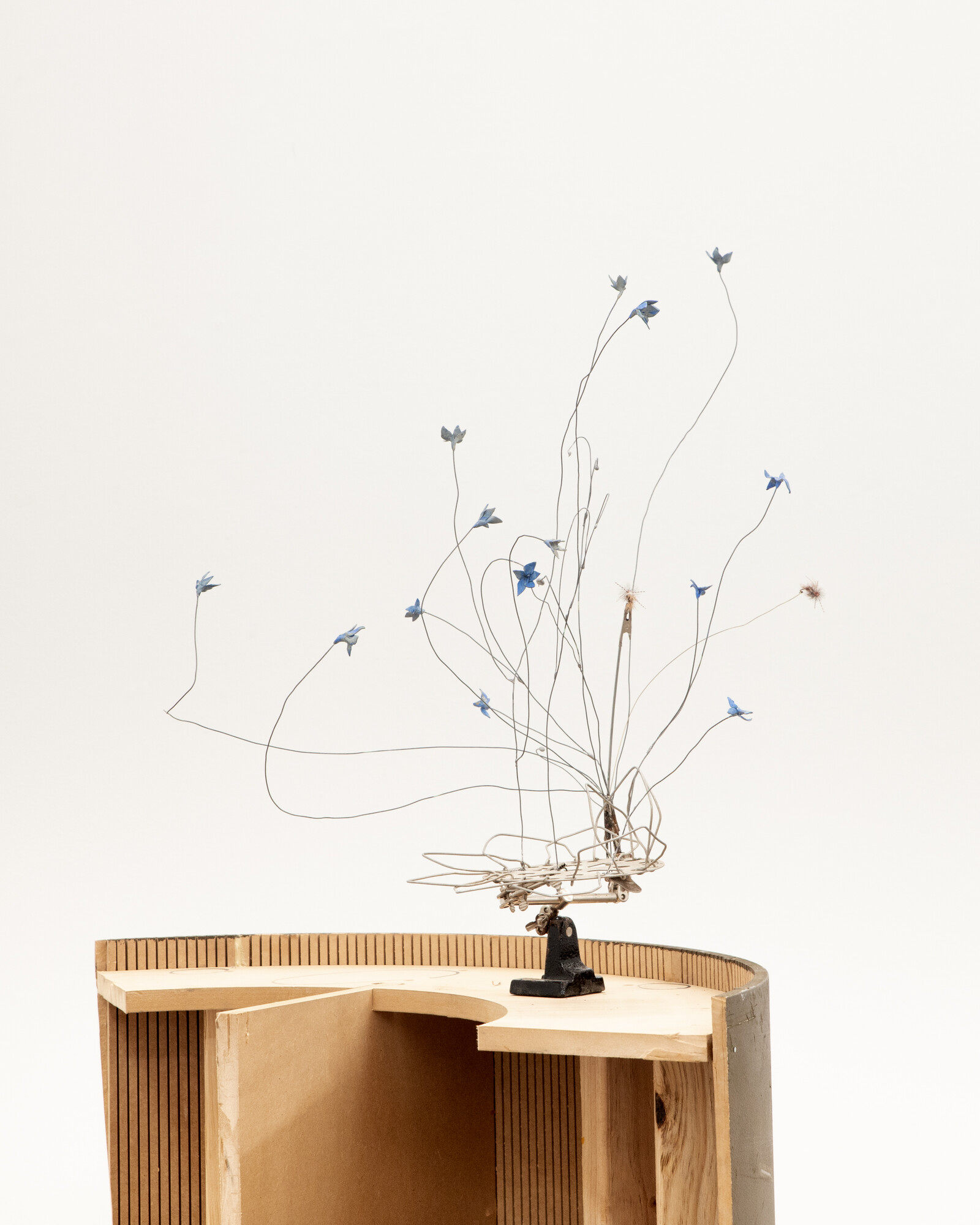 Isadora Vaughan, <em>Third hand: Wahlenbergia Communis</em>, 2023, metal, wire, Apoxie, artificial flies. Photo courtesy of the artist and STATION.