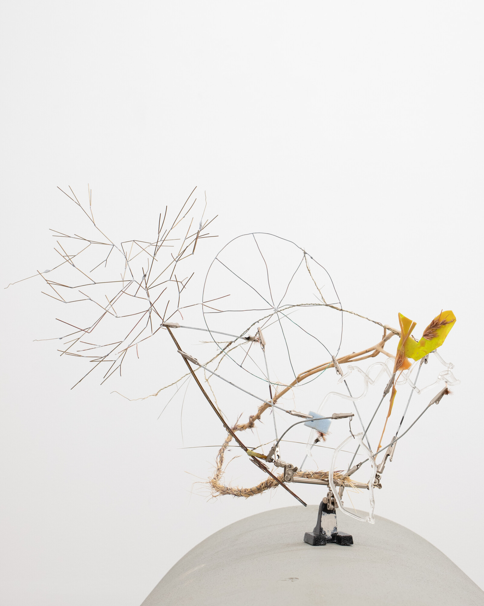 Isadora Vaughan, <em>Third hand: Austrostipa Elegantissima</em>, 2023, brass, glass, Themeda Triandra, tape, artificial flies, copper, wood, wax, foam. Photo courtesy of the artist and STATION.
