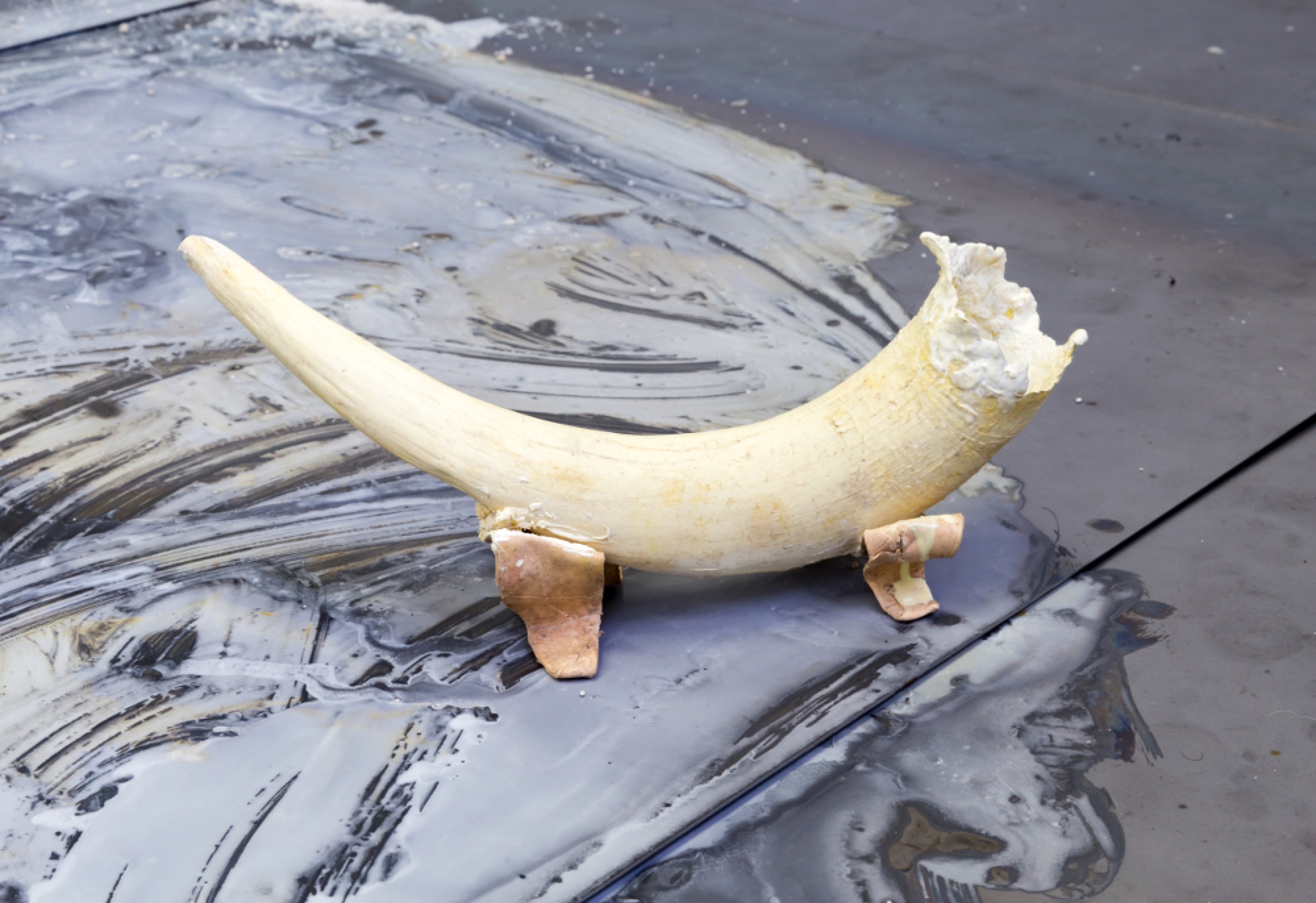 Isadora Vaughan, <em>Recalcitrant Bodies</em>, installation view. Photography: André Piguet.