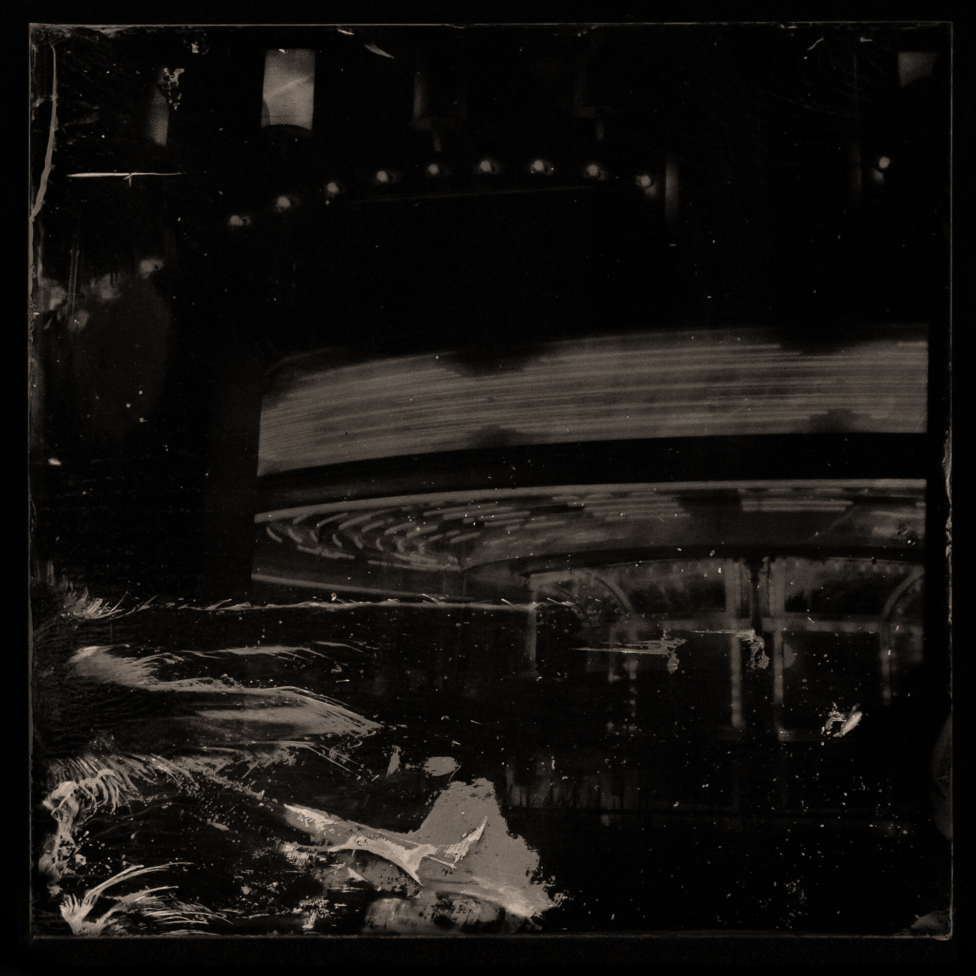 Jane Burton, <em>Kingdom of Pleasure (#10),</em> 2022, Ambrotype — wet plate collodion on black glass, 25.5 cm x 25.5 cm. Image courtesy of the artist.