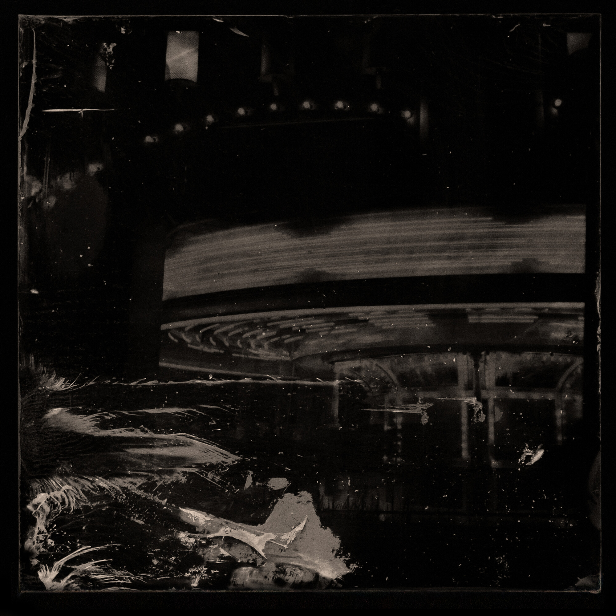 Jane Burton, <em>Kingdom of Pleasure (#10),</em> 2022, Ambrotype — wet plate collodion on black glass, 25.5 cm x 25.5 cm. Image courtesy of the artist.