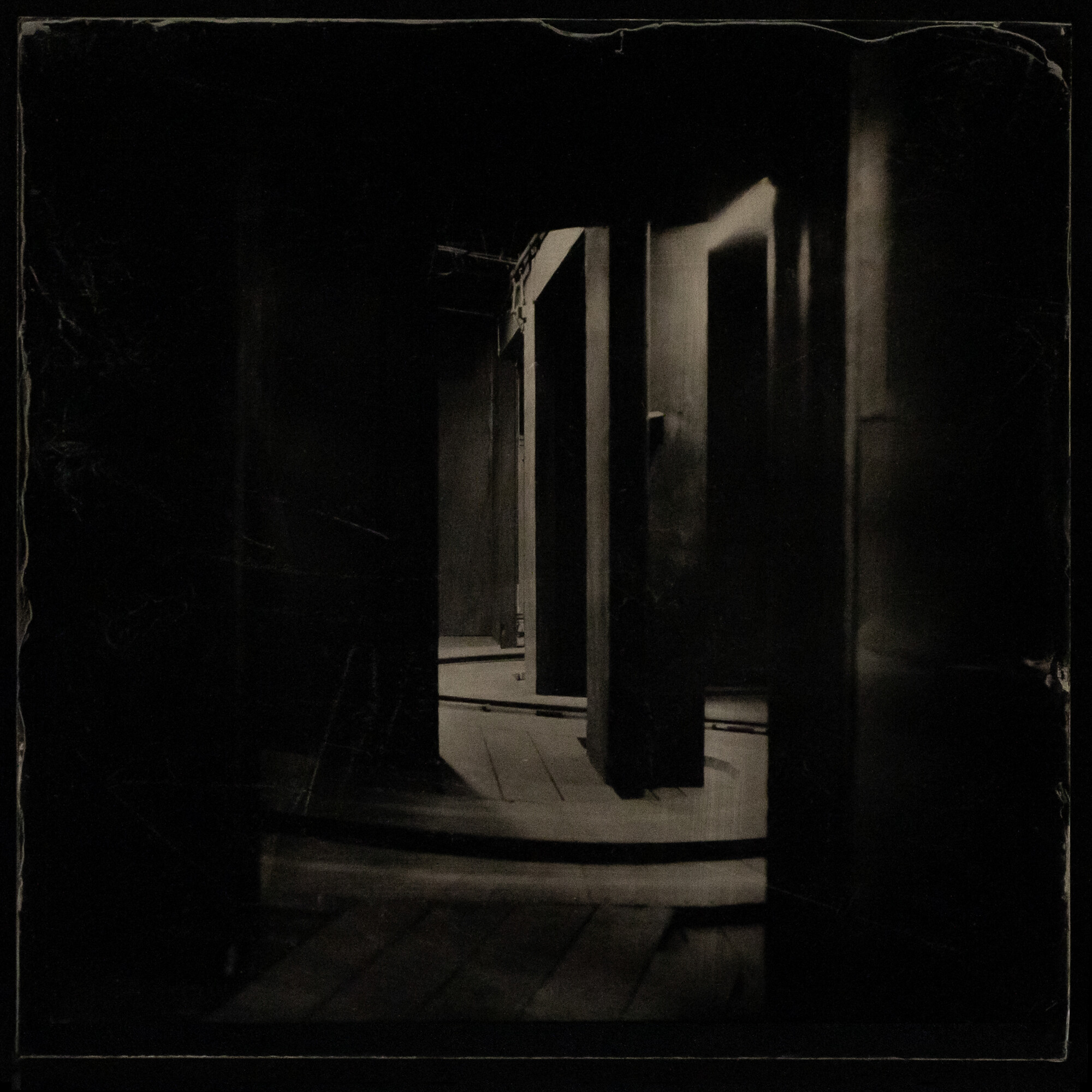 Jane Burton, <em>Kingdom of Pleasure (#6),</em> 2022, Ambrotype — wet plate collodion on black glass, 25.5 cm x 25.5 cm. Image courtesy of the artist.