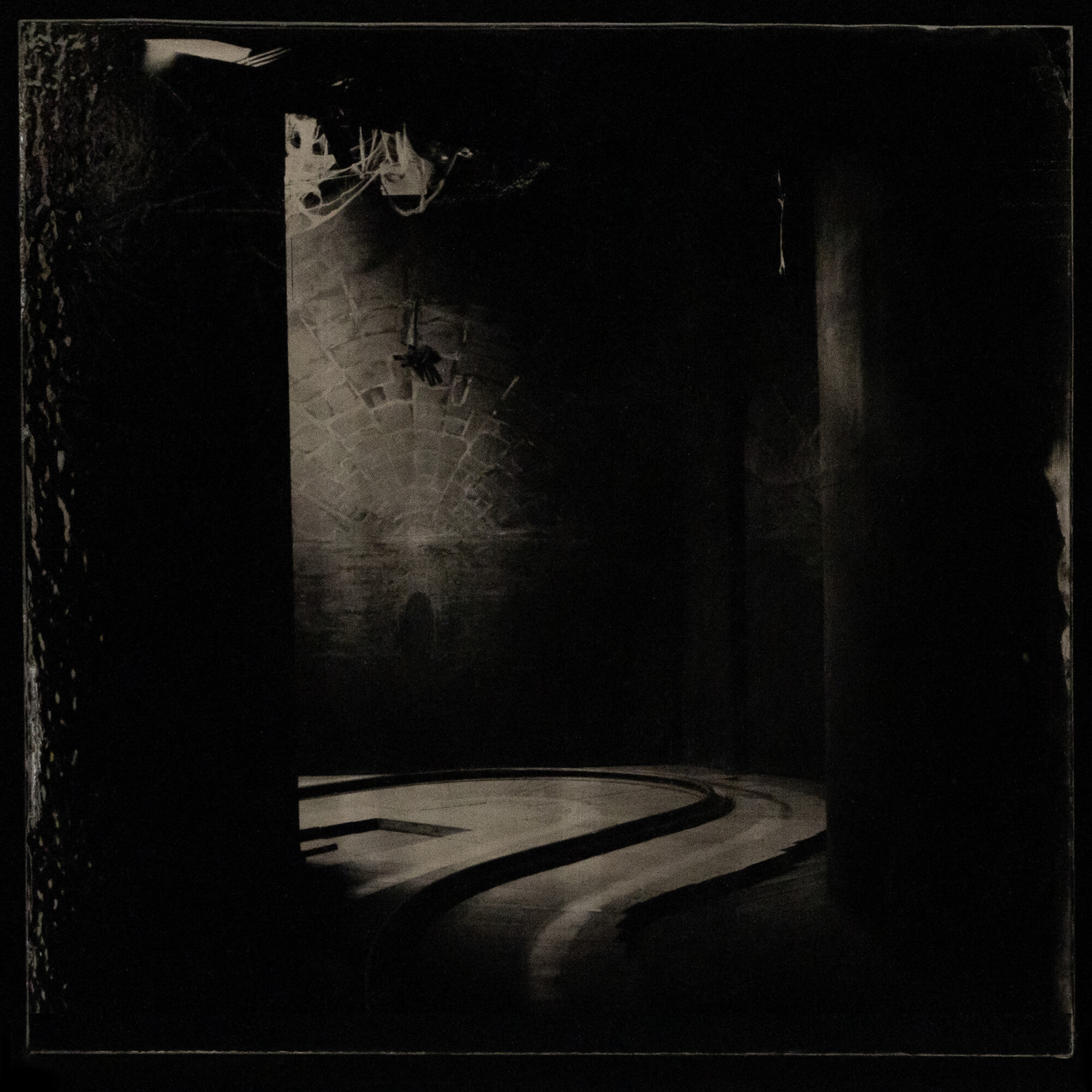 Jane Burton, <em>Kingdom of Pleasure (#7),</em> 2022, Ambrotype — wet plate collodion on black glass, 25.5 cm x 25.5 cm. Image courtesy of the artist.