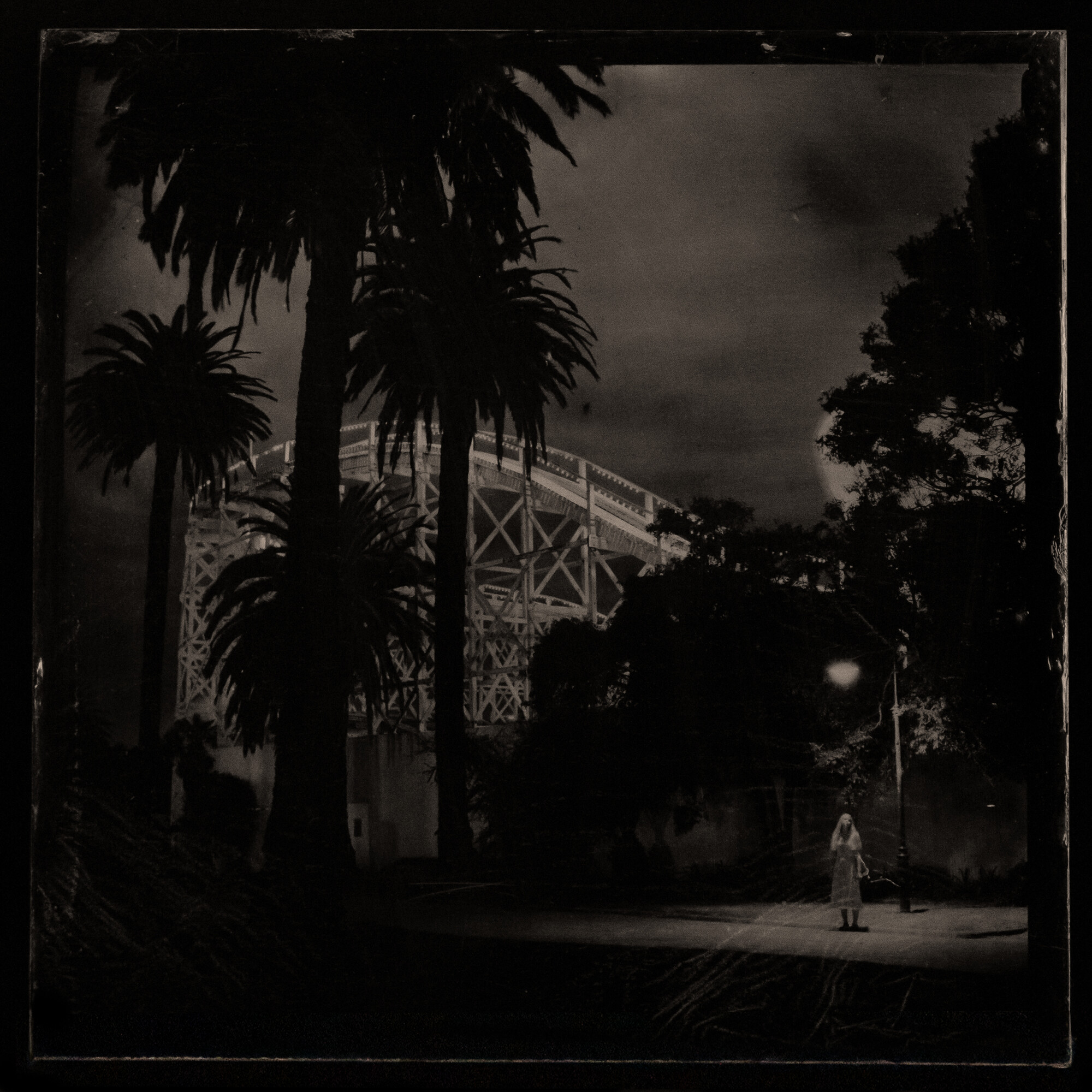 Jane Burton, <em>Kingdom of Pleasure (#4),</em> 2022, Ambrotype — wet plate collodion on black glass, 25.5 cm x 25.5 cm. Image courtesy of the artist.