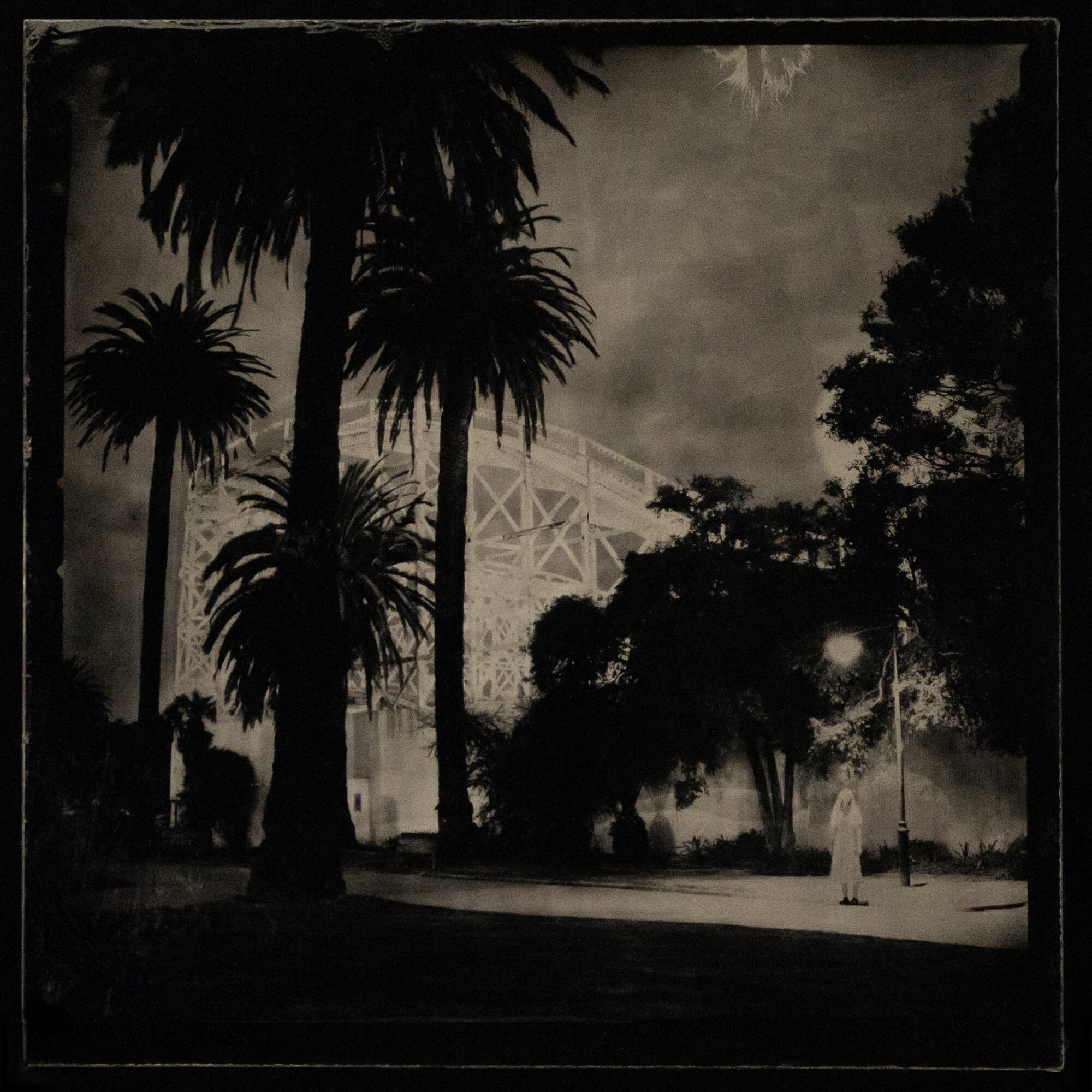 Jane Burton, <em>Kingdom of Pleasure (#5),</em> 2022, Ambrotype — wet plate collodion on black glass, 25.5 cm x 25.5 cm. Image courtesy of the artist.