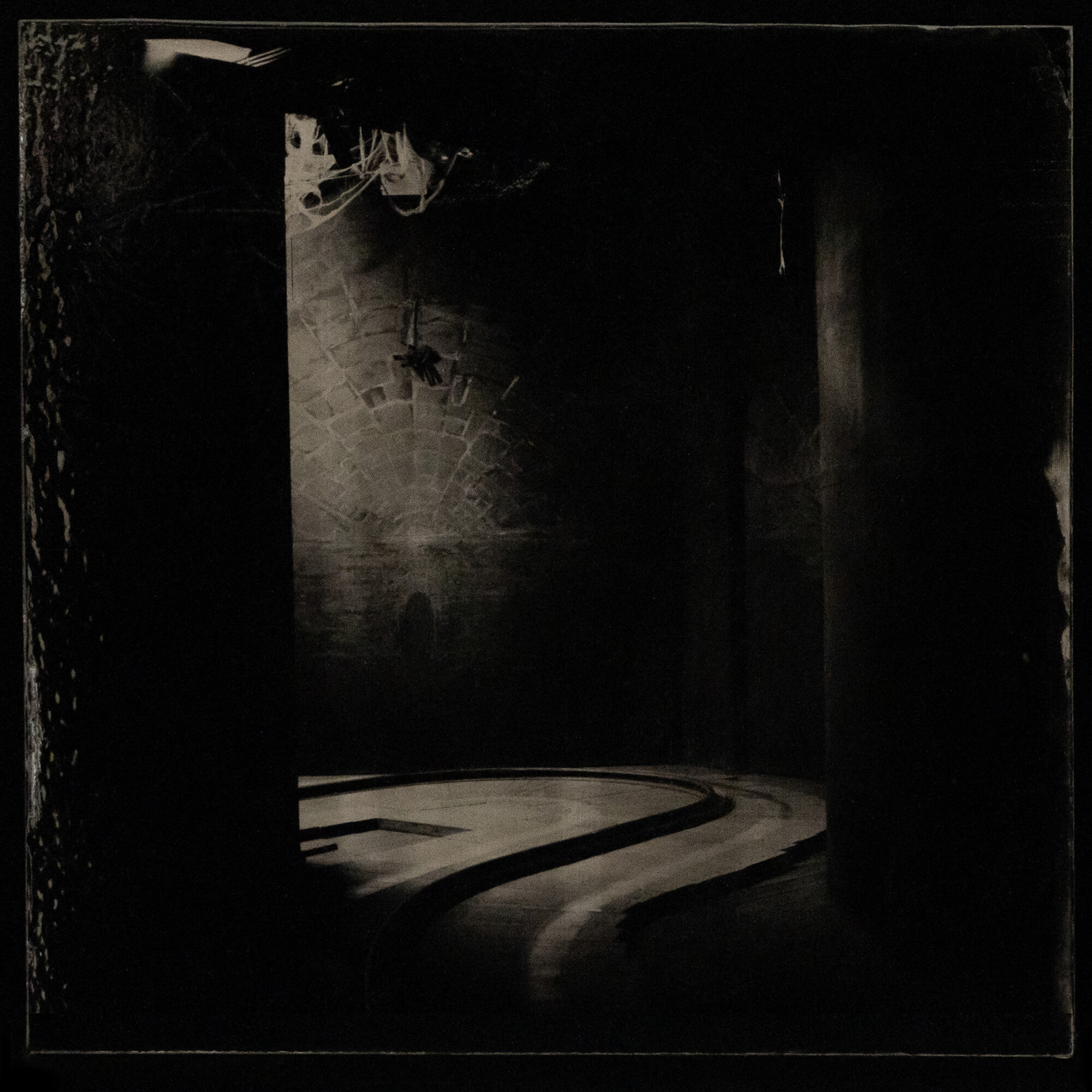 Jane Burton, <em>Kingdom of Pleasure (#7),</em> 2022, Ambrotype — wet plate collodion on black glass, 25.5 cm x 25.5 cm. Image courtesy of the artist.
