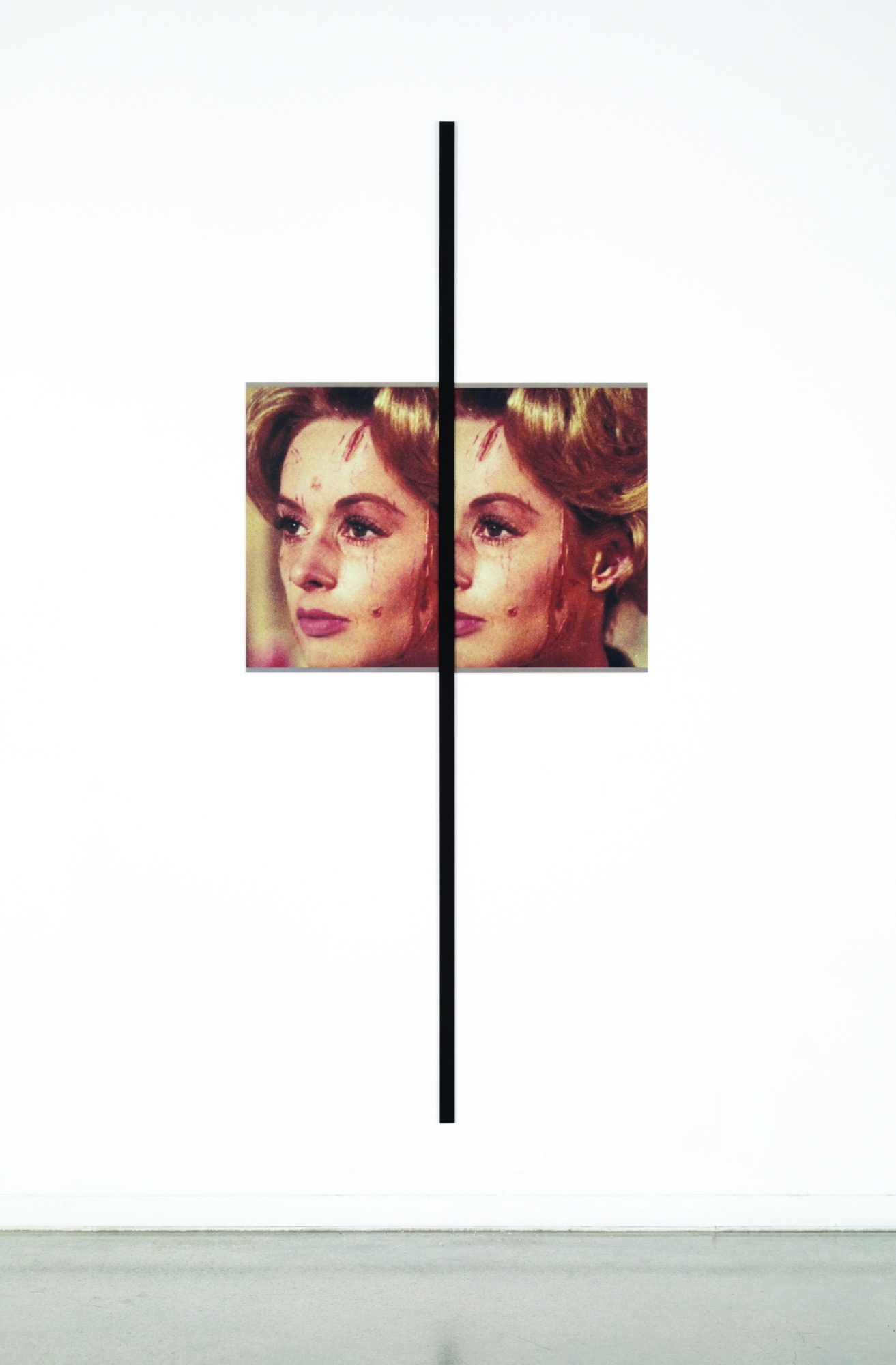 Janet Burchill and Jennifer McCamley, <em>Temptation to Exist (Tippi)</em>,1986, 2 C-type photographs mounted onto aluminium, each 76 x 50.5 cm, synthetic polymer paint on wood, 262 x 4 x 1.3 cm. Collection of Ruth Bain and Stieg Persson.