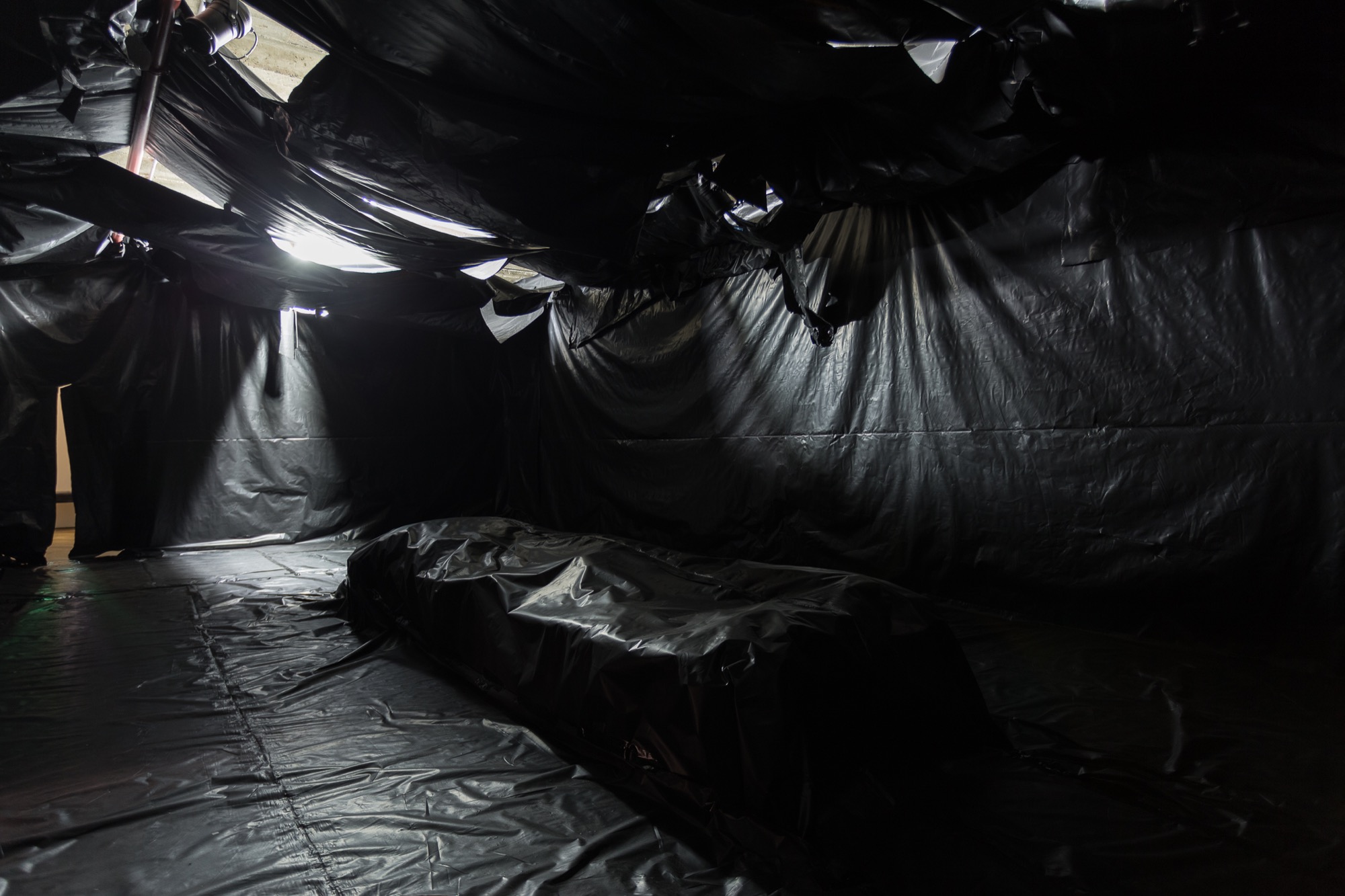 Jason Phu, <em>My Parents Met at the Fish Market</em>, 2017. Installation image, Westspace. Photo credit: Christo Crocker.
