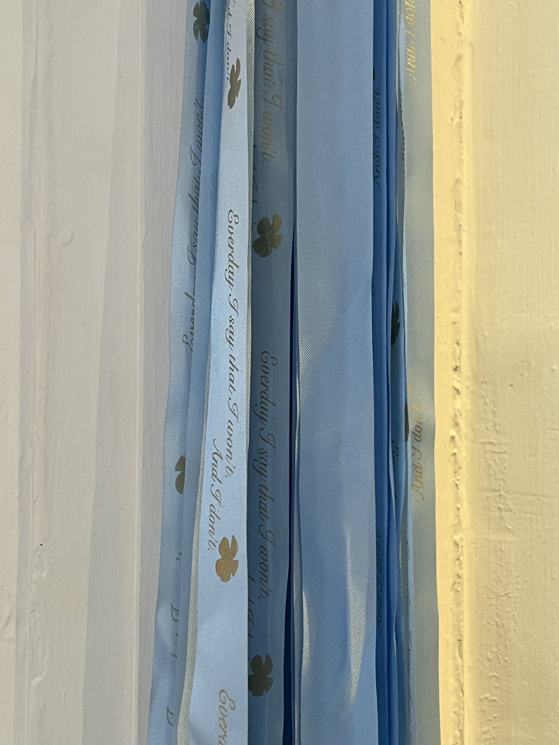 Jackie De Lacy, <em>Everyday, I Don’t</em>, 2021, one hundred metres of satin ribbon, cut into strips, variable dimensions. Image courtesy of Suite7a