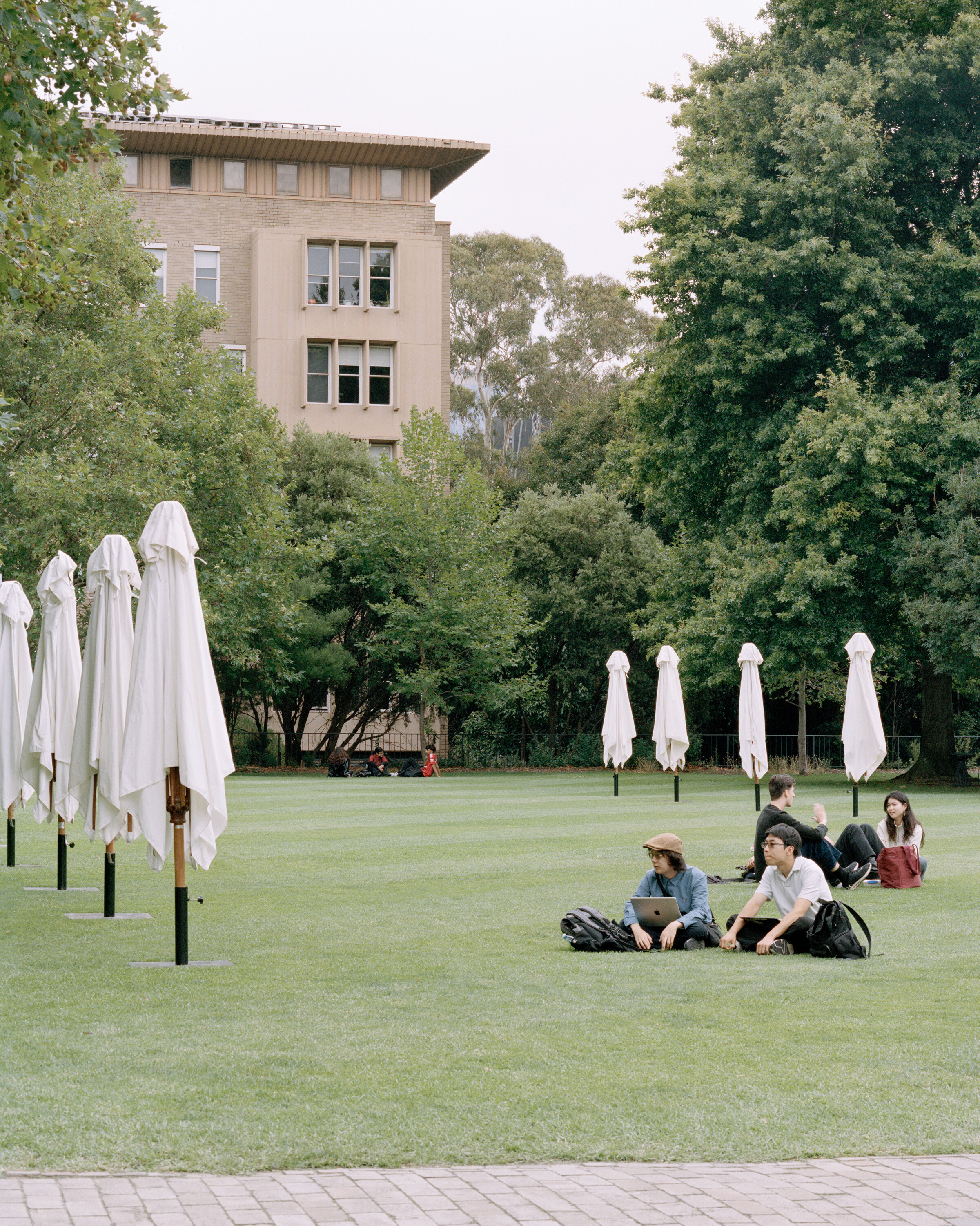 <p>View of the north facade of West Tower from the South Lawn. Photograph by Rory Gardiner with Colby Vexler.</p>