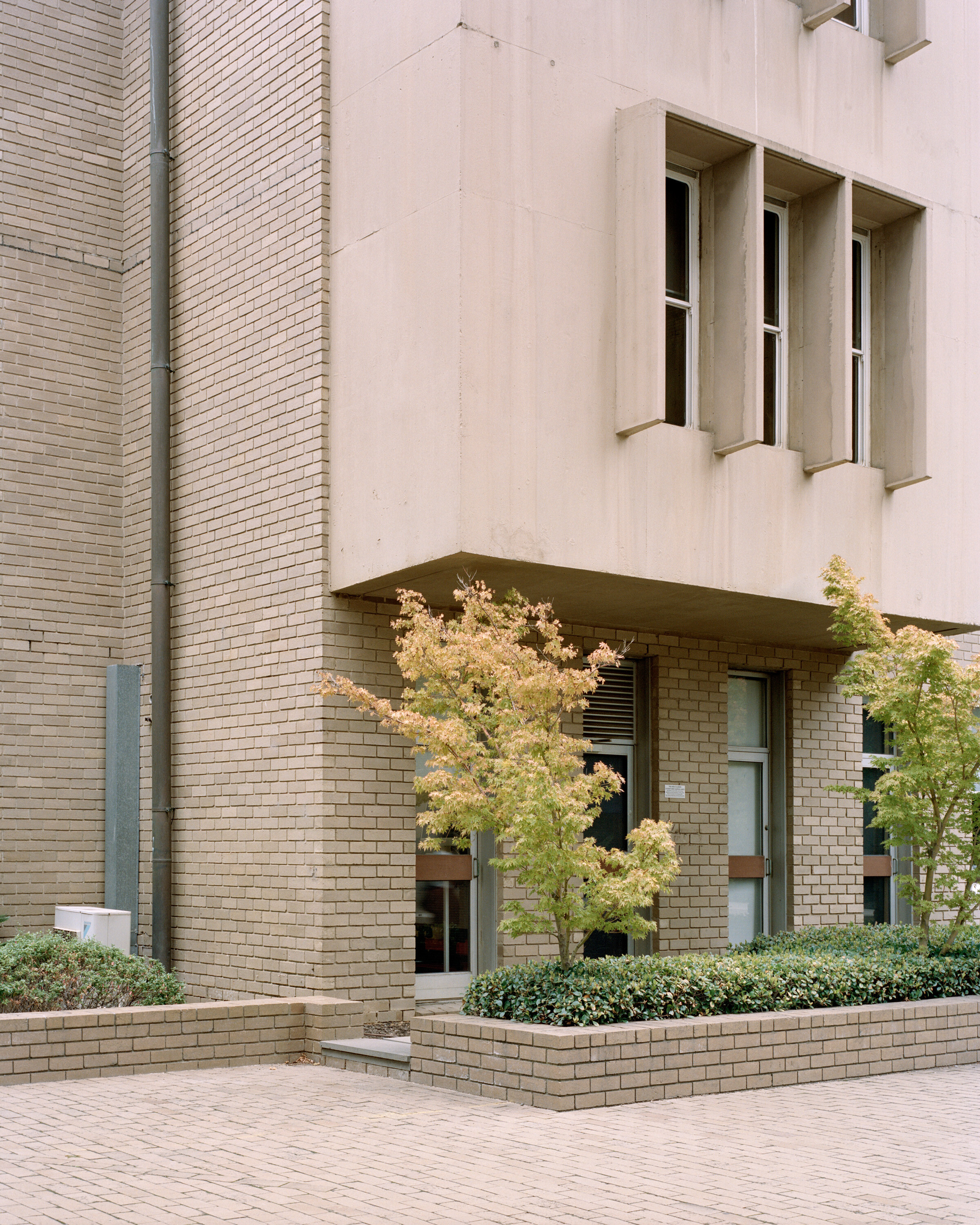 <p>North facade of the East Tower with pre-cast concrete window hoods visible. Photograph by Rory Gardiner with Colby Vexler.</p>