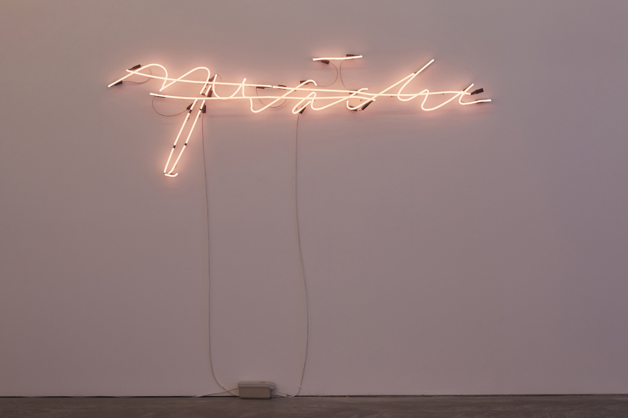 Joseph Kosuth, 'L.W.'s Last Word' (Pink), 1991. Photography: Zan Wimberley. Courtesy Joseph Kosuth Studio and Anna Schwartz Gallery.