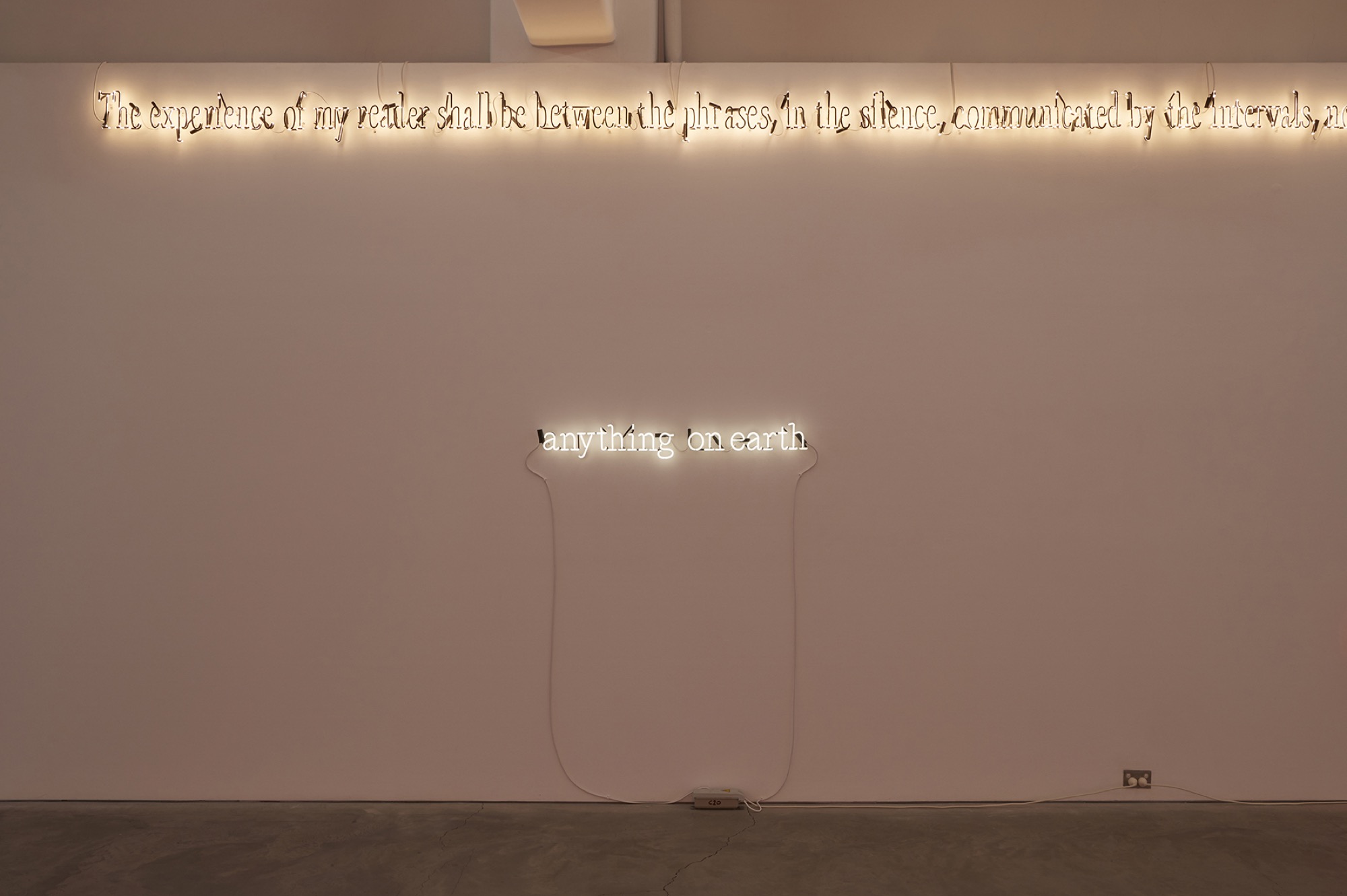 Joseph Kosuth, '(Waiting for-) Texts for Nothing #10', 2010 (detail) and 'A/C (J.J.:F.W.)', 2011. Photography: Zan Wimberley. Courtesy Joseph Kosuth Studio and Anna Schwartz Gallery.
