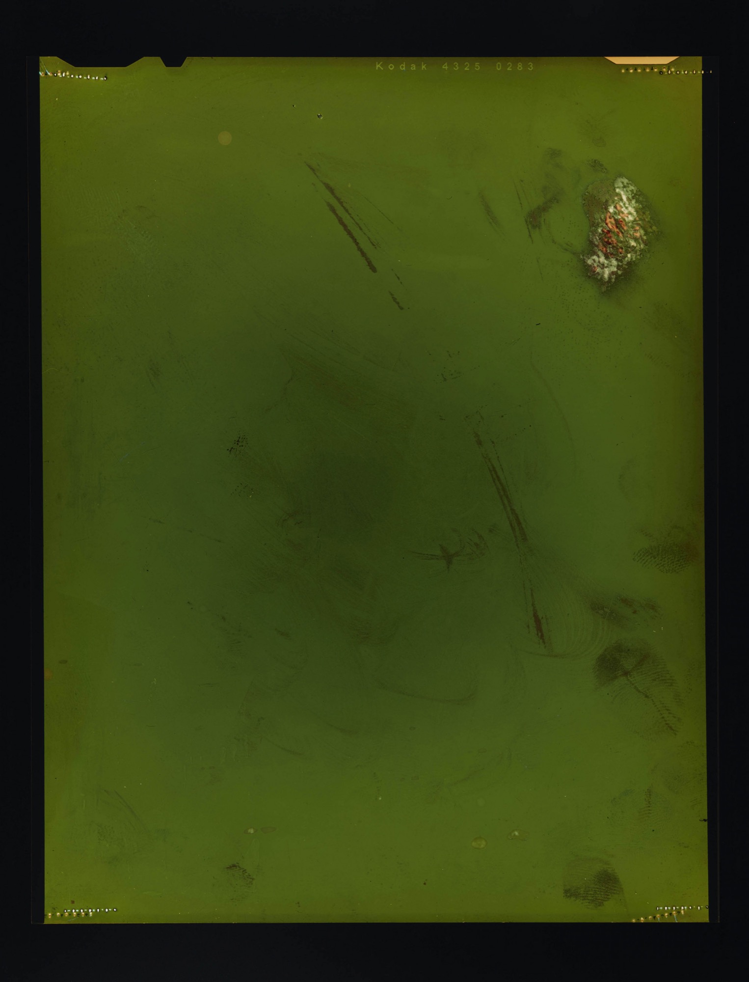 Justine Varga, <em>Visage</em> (2018-19), Chromogenic photograph. 146.2 x 111.5 cm (image size), 161.5 x 122 cm (frame size), Edition of 5 + 2 AP. Image credit: Tolarno Galleries.