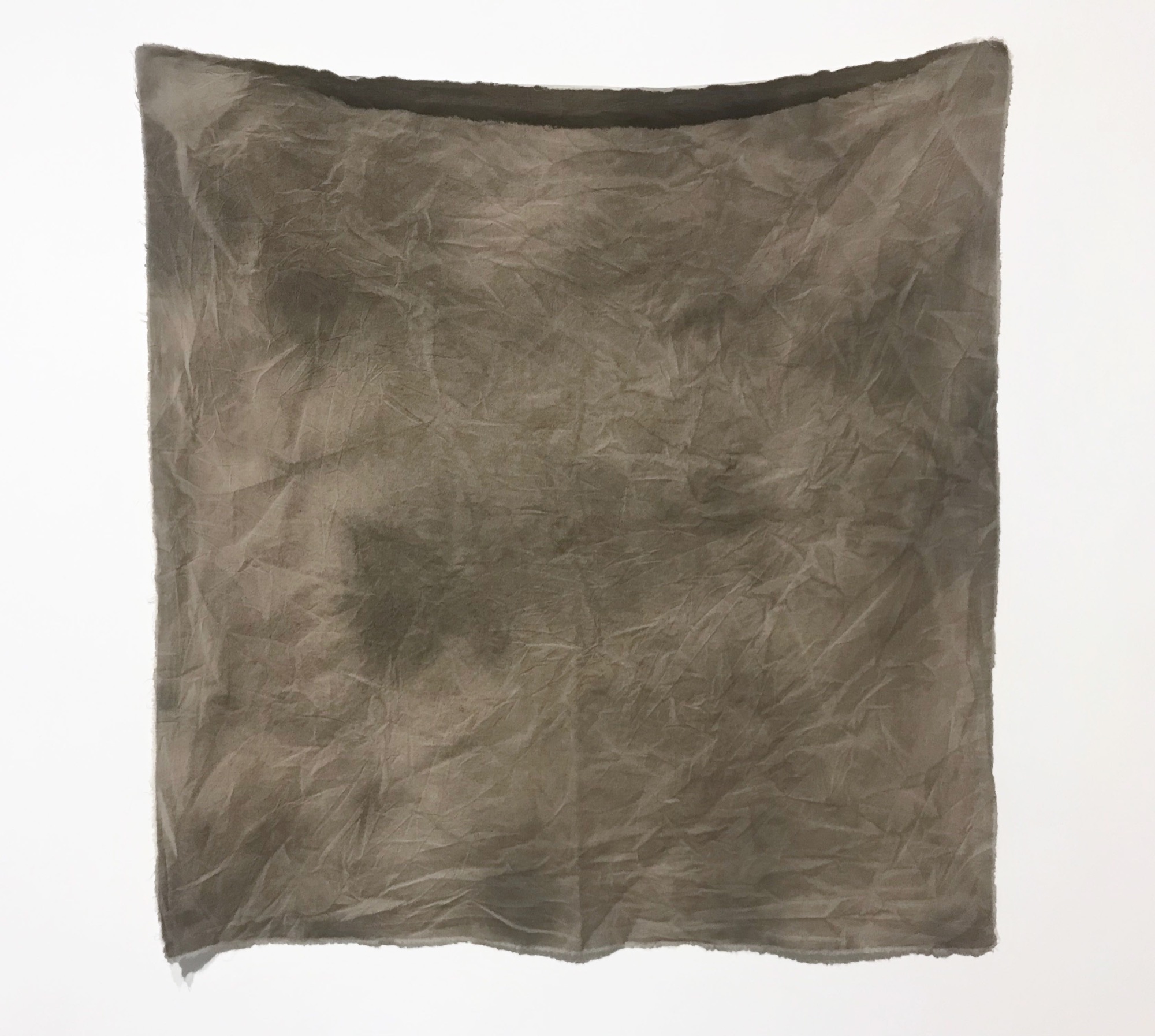 Katie West, <em>warna, yirarlla</em>, 2018, calico dyed with eucalyptus and puff ball, 100cm x 100cm.