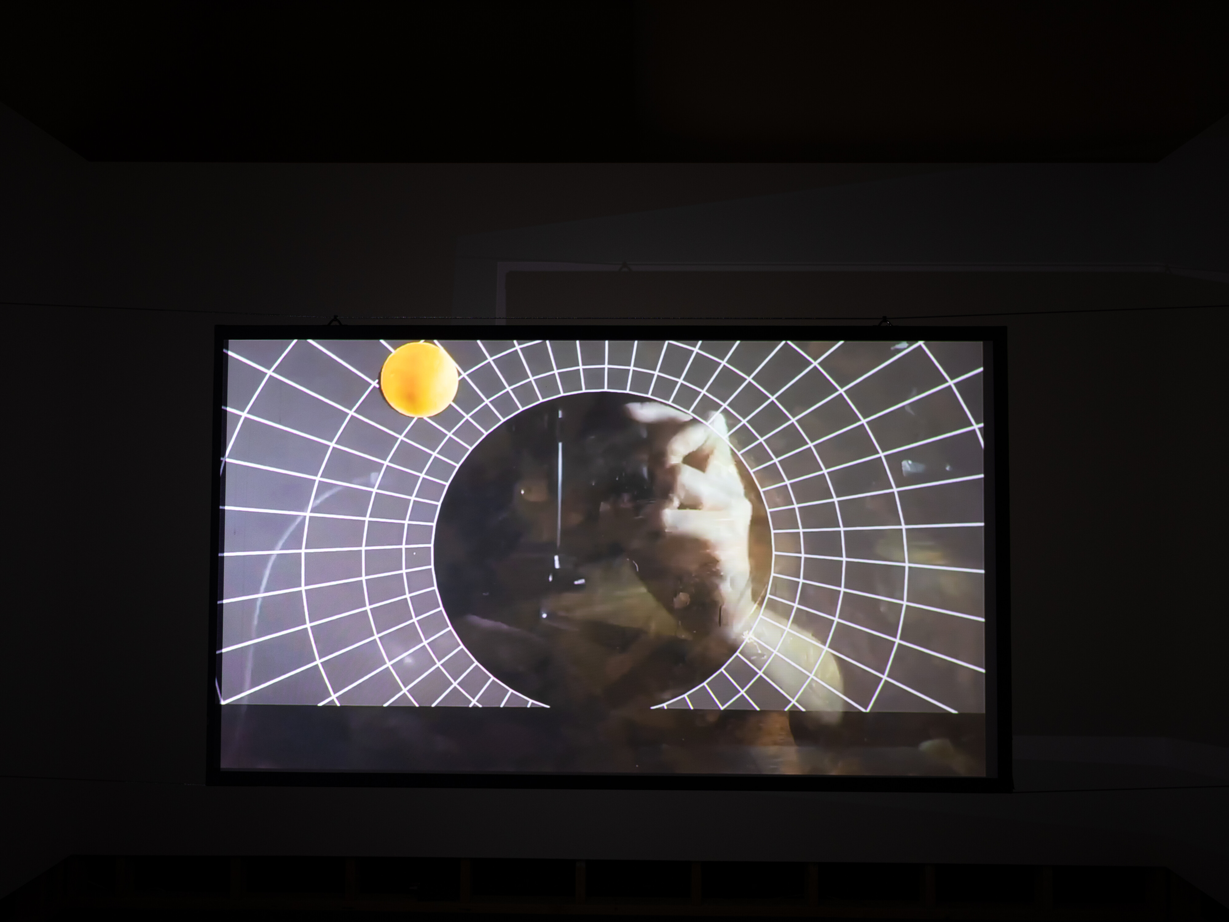 <p>Georgina Cue, <em>Kinematics</em>, 2026, single channel video, 1.44 minutes, Conners Conners Gallery. Photo: Ella Skuza.</p>
