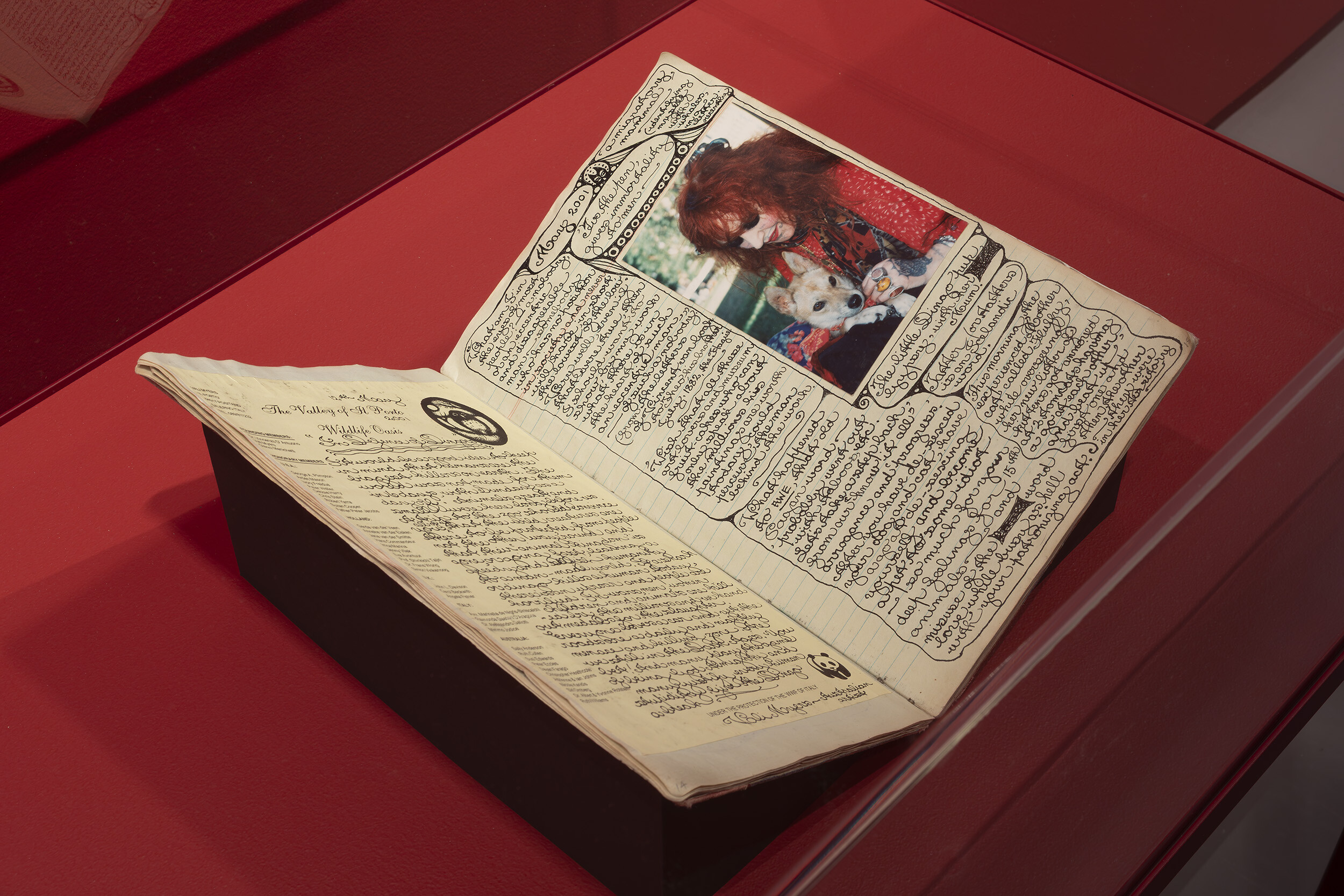 <p><strong>Vali Myers</strong>, <em>The Valley of Tiger II Porto </em>2001 – 2002. Pictures Collection, State Library Victoria, Naarm/Melbourne. Installation view, <em>Knowing Otherwise</em>, Monash University Museum of Art, Naarm/Melbourne, 2026. Photo: Christian Capurro.</p>