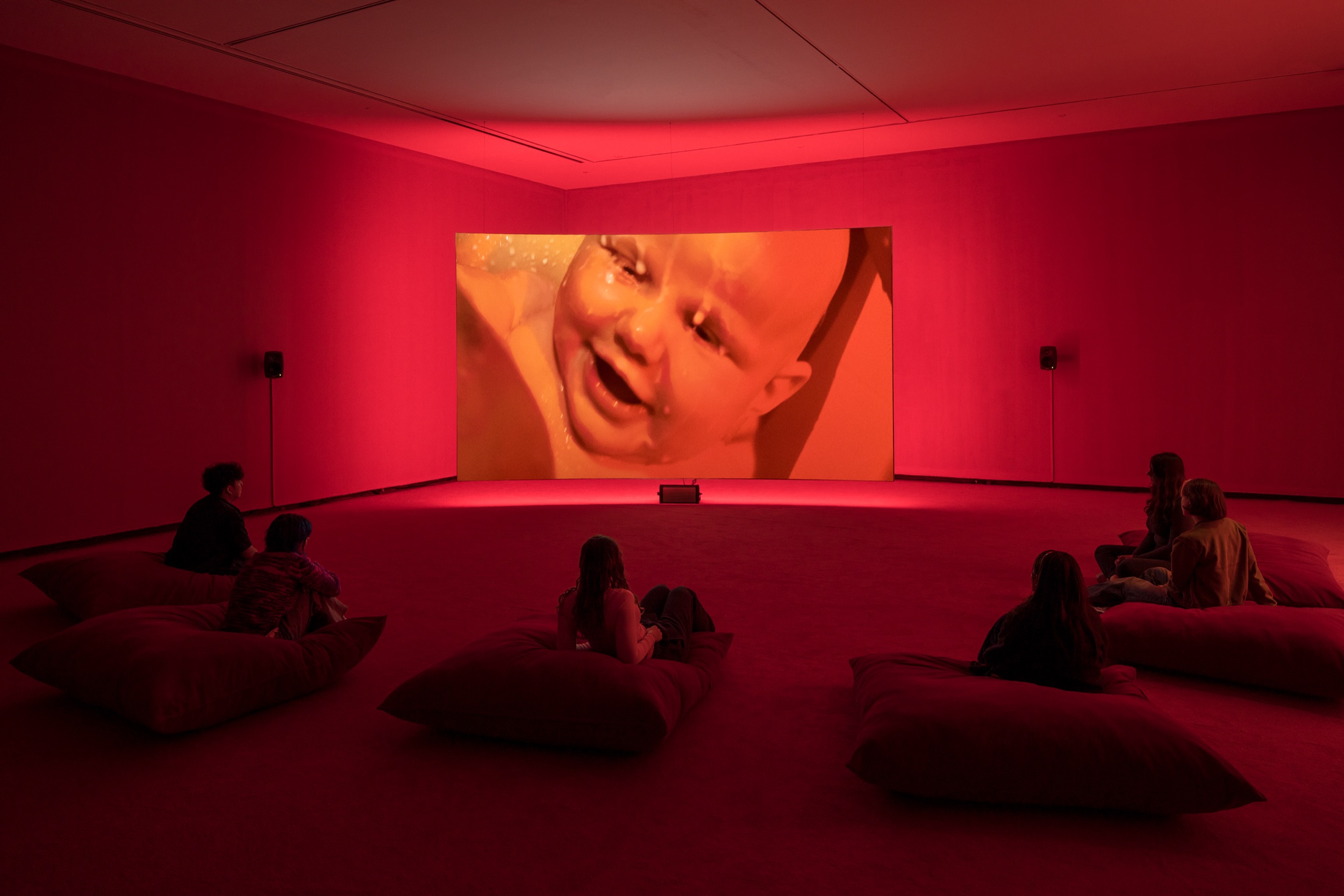 Laure Prouvost, Four for see beauties, 2022, installation view, Australian Centre for Contemporary Art, Melbourne. Courtesy the artist, and Galerie Nathalie Obadia, Paris and Brussels; carlier | gebauer, Berlin and Madrid; Lisson Gallery, London, New York and Shanghai. Photo: Andrew Curtis