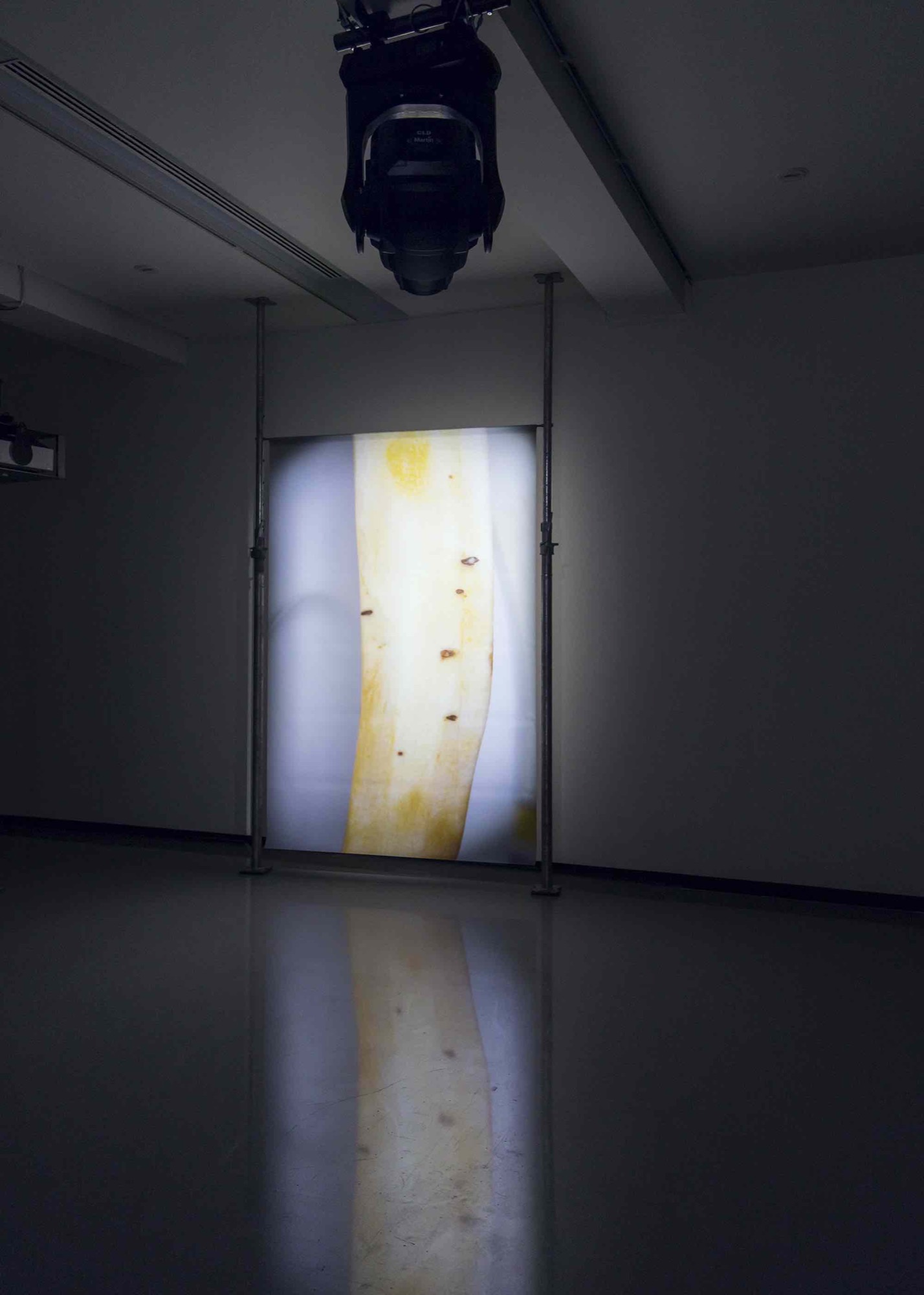 Alicia Frankovich, <em>Fruit and Legs: Schwarzwurzeln</em> 2017, PVC Vollpane print, Acrow props. Installation view: Monash University Museum of Art, Melbourne 2018. Photo: Jacqui Shelton.
