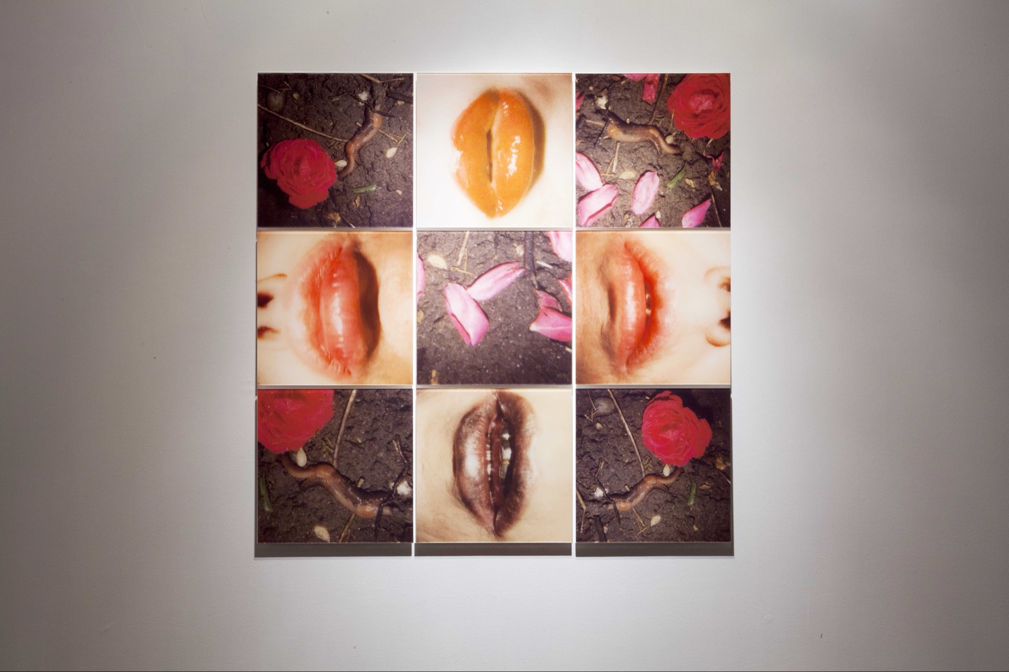 Genesis Breyer P-Orridge, Wormy Lips (variation Two), 2004, Expanded Polaroid, nine c-prints on Plexi 147 x 147cm. Photograph by Adam Stone.