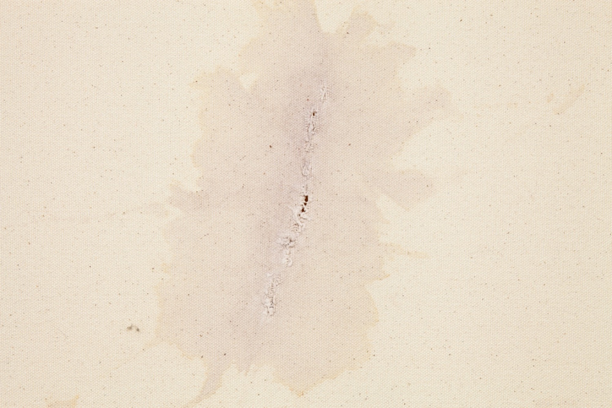 Luke Sands, <em>Untitled</em>, 2019, chewed canvas, 313 cm x 184 cm. Installation view: Guzzler, Melbourne. Photograph: the artist, courtesy the artist.