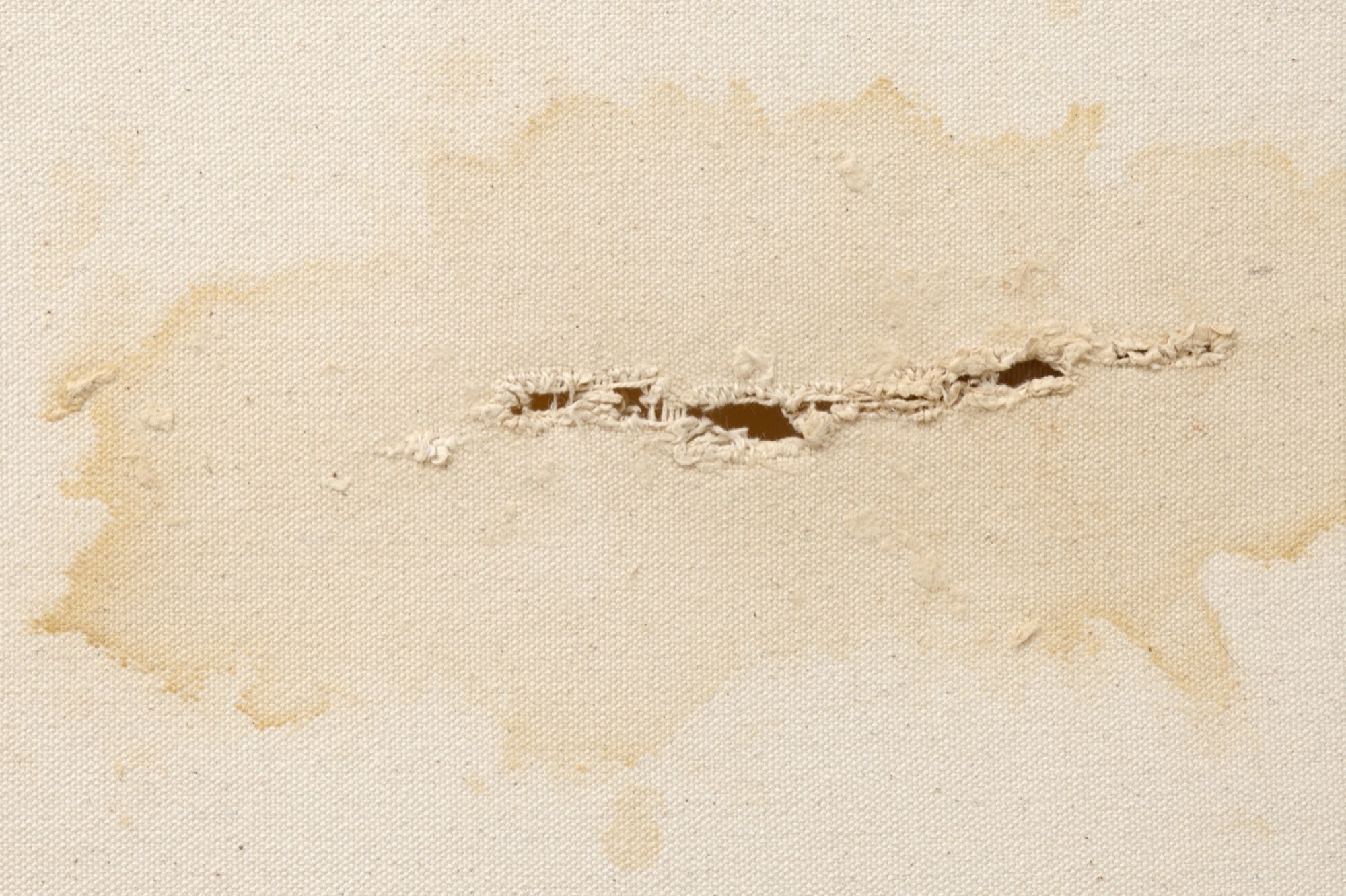 Luke Sands, <em>Untitled</em>, 2019, chewed canvas, 313 cm x 184 cm. Installation view: Guzzler, Melbourne. Photograph: the artist, courtesy the artist