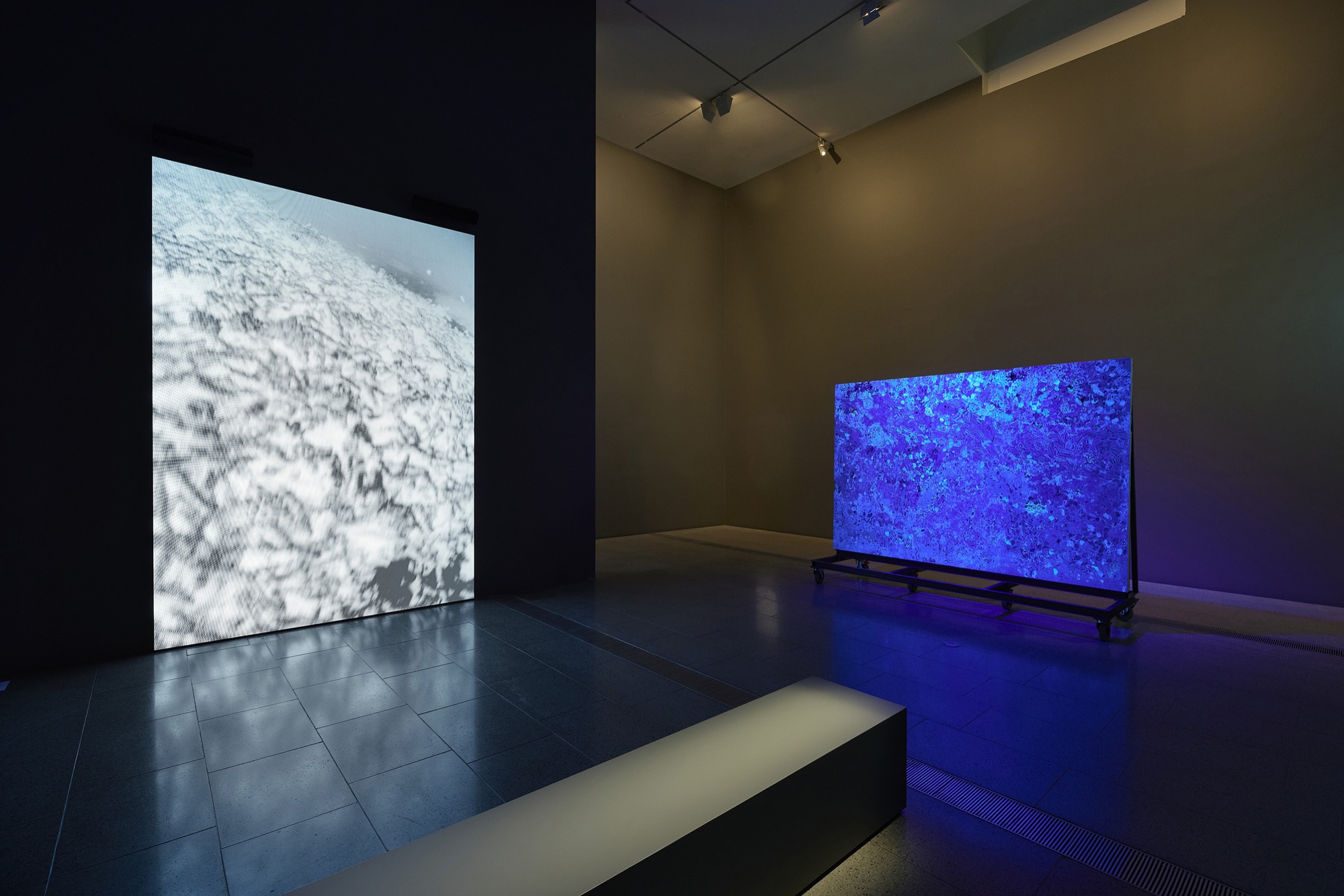 Installation view of Nicholas Mangan’s <em>Core Coralations</em> (2023) on display as part of the Melbourne Now exhibition at The Ian Potter Centre: NGV Australia, Melbourne from 24 March to 20 August 2023. Photo: Sean Fennessy