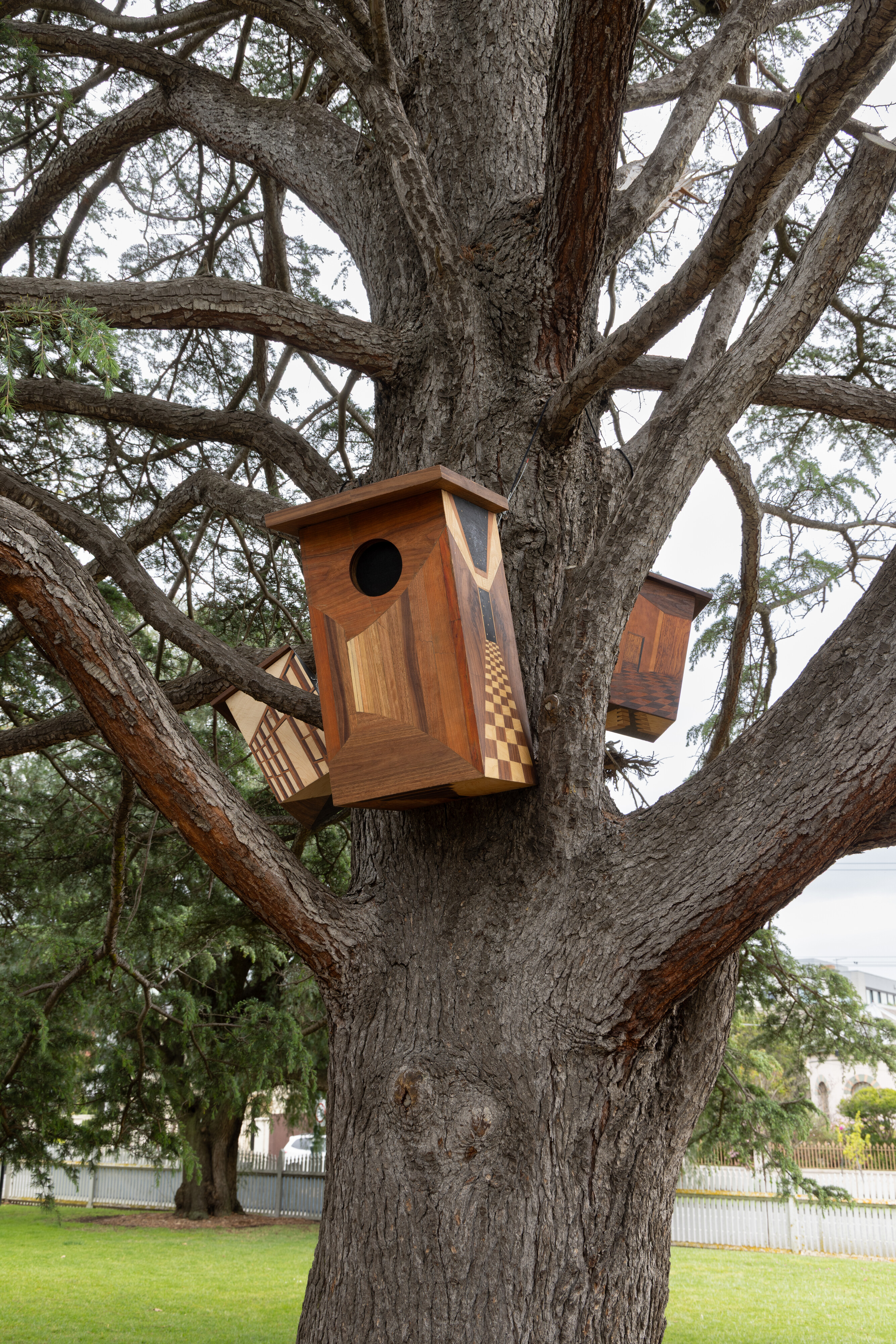 <p>Installation view of Naoise Halloran-Mackay, <em>Birdhouse I; II; and III</em>, 2026, Melbourne Sculpture Biennale, 2026. Photo by Nicholas Mahady. Courtesy the artist.</p>