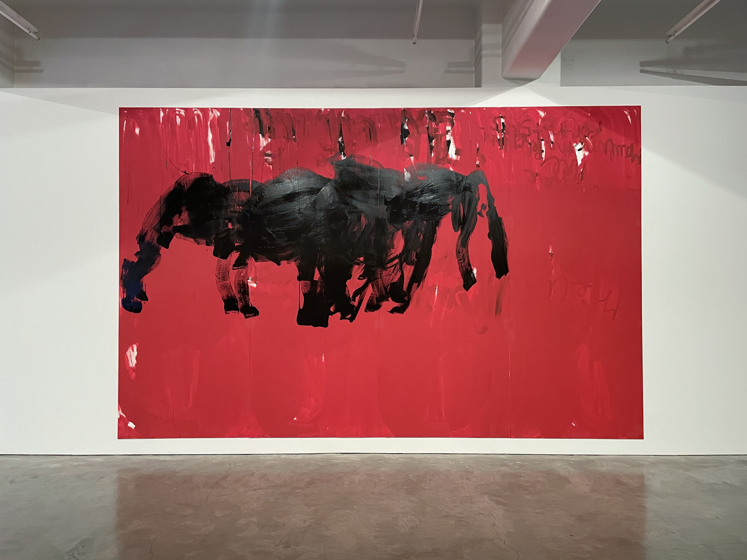 Installation view of Mike Parr, <em>Sunset Claws</em>, <em>Part 3: Going Home</em>, Anna Schwartz Gallery, Melbourne, 2023.