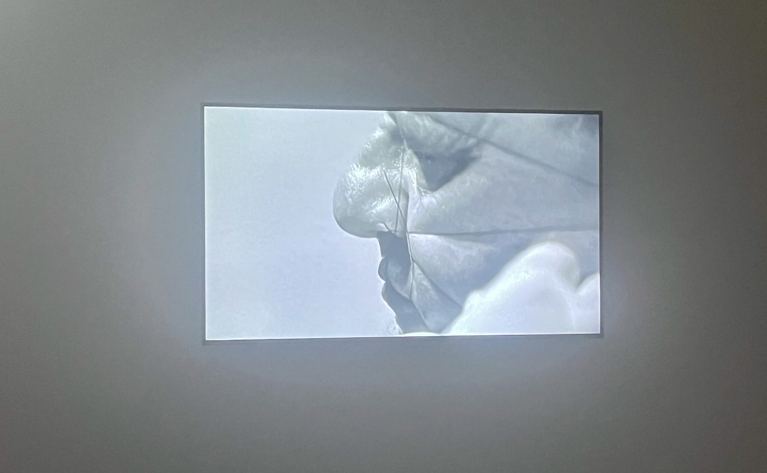 Installation view of Mike Parr, <em>Sunset Claws</em>, <em>Part 3: Going Home</em>, detail of <em>Montage in Space &amp; Time</em> (1971–2016). Anna Schwartz Gallery, Melbourne, 2023.