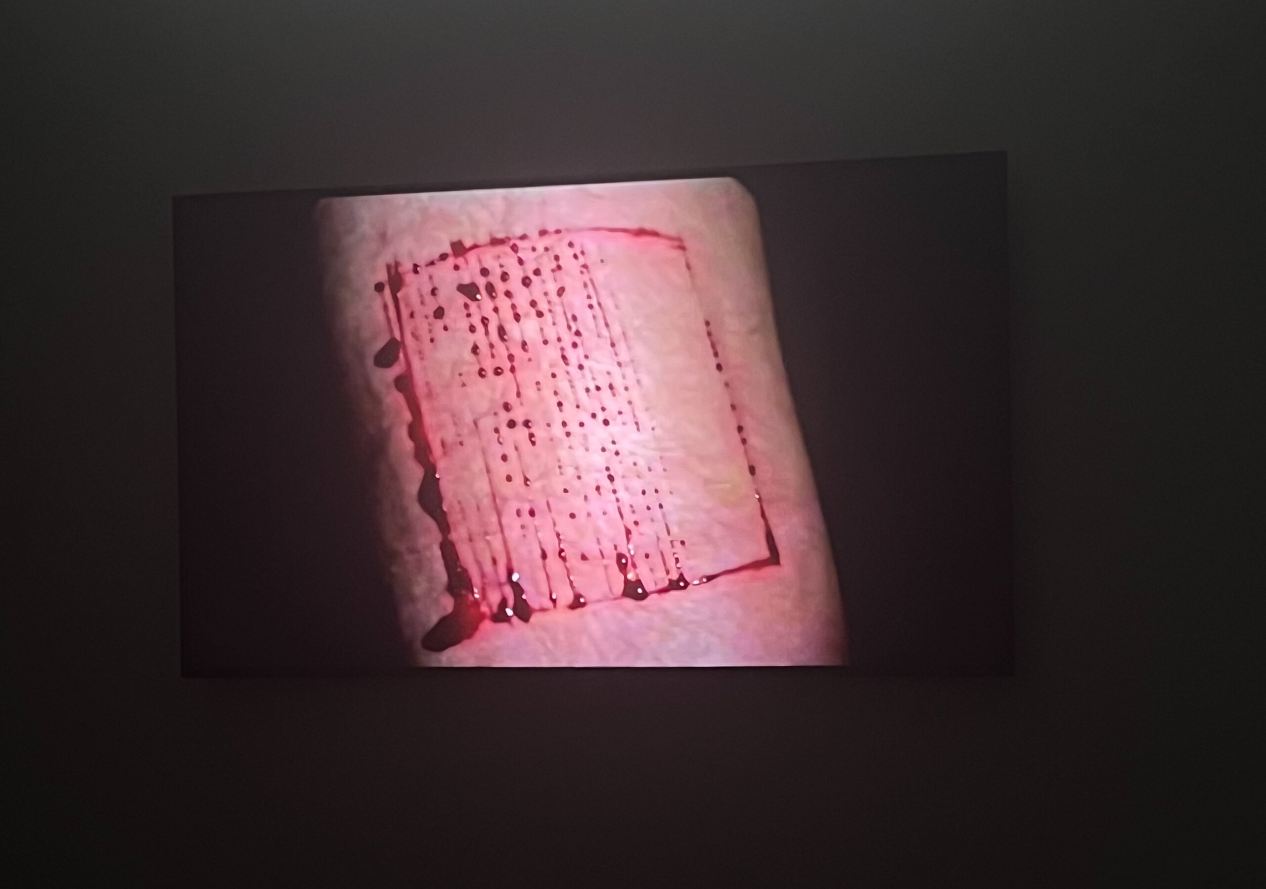 Installation view of Mike Parr, <em>Sunset Claws</em>, <em>Part 3: Going Home</em>, detail of <em>Montage in Space &amp; Time</em> (1971–2016). Anna Schwartz Gallery, Melbourne, 2023.
