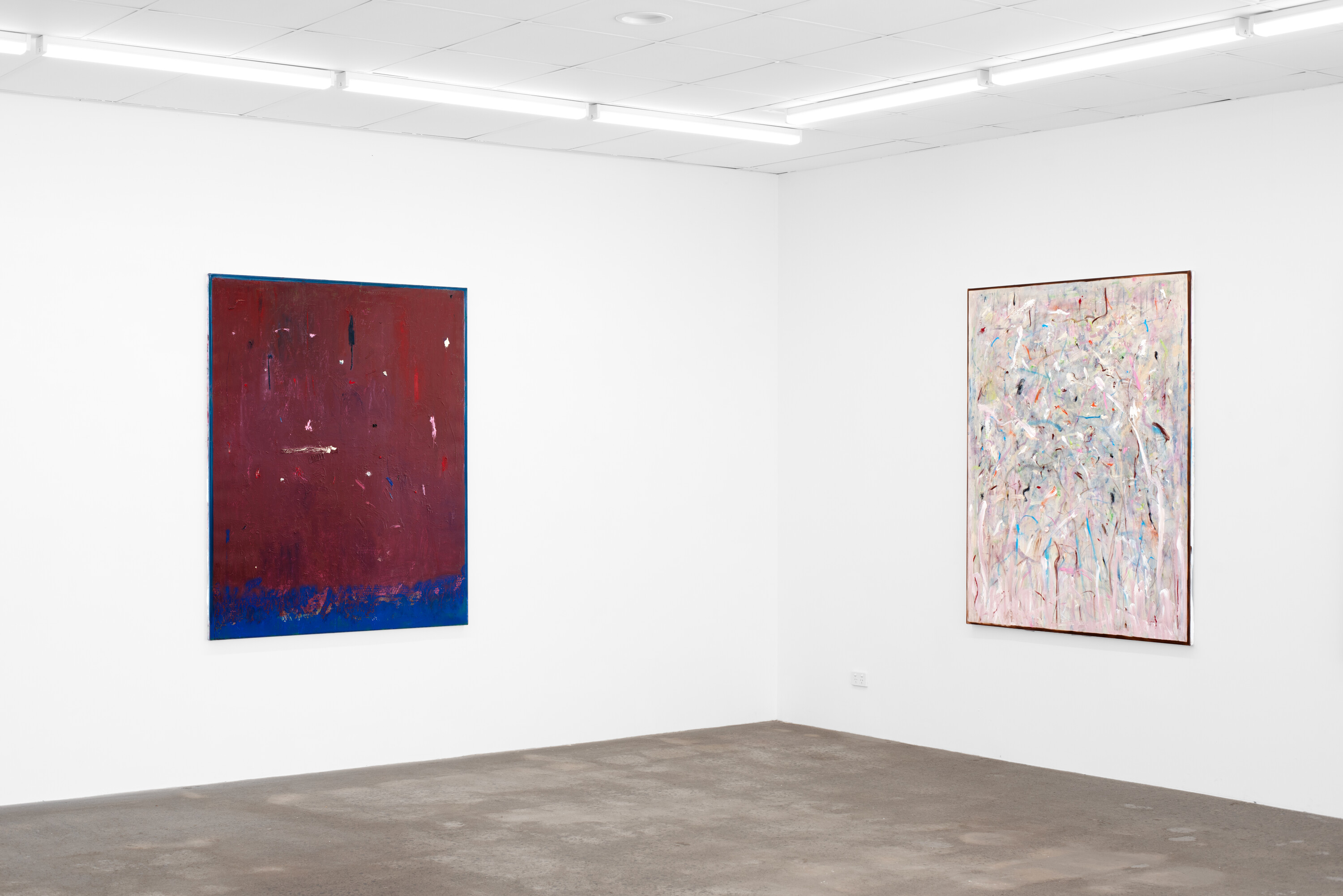 <p>Installation view of Ami Morris, <em>Mirror, </em>Left to right, <em>Internal Thorns </em>and <em>Meeting at the Roots</em>,<em> </em>Victoria, 2024, Oil paintings, 137 x 167 cm, NAP Contemporary, Mildura. Photo: Courtesy of NAP Contemporary</p>