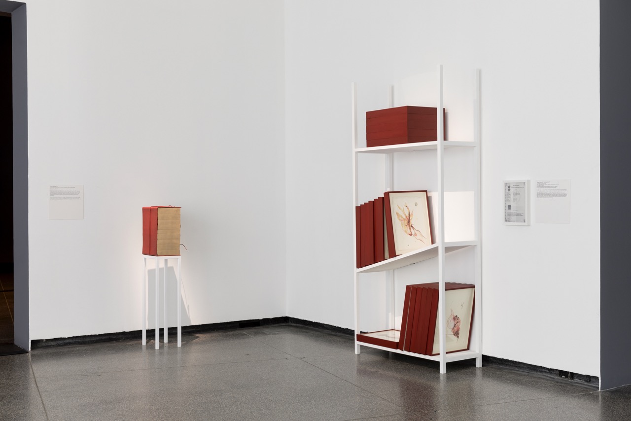 Mithu Sen, <em>mOTHERTONGUE</em>, installation view, Australian Centre for Contemporary Art, Melbourne, 2023. Photograph: Andrew Curtis