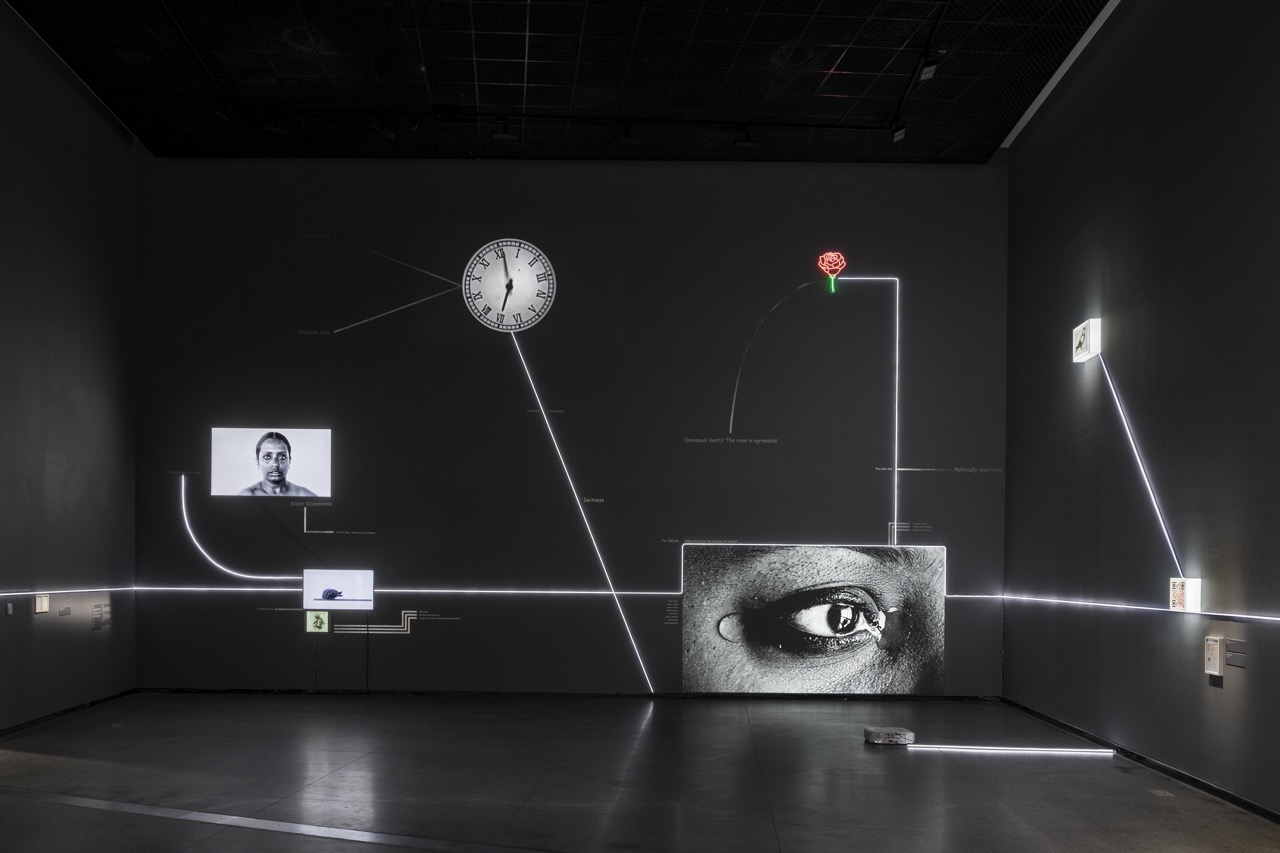 Mithu Sen, <em>mOTHERTONGUE</em>, installation view, Australian Centre for Contemporary Art, Melbourne, 2023. Photograph: Andrew Curtis