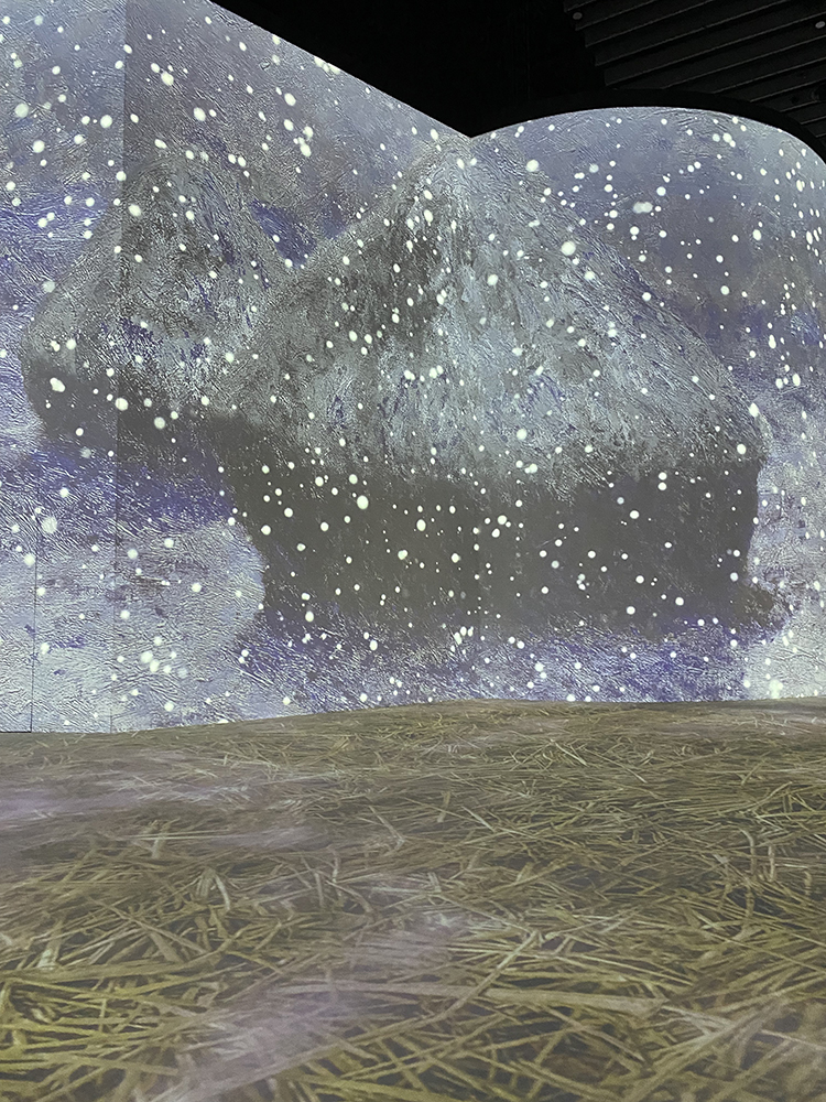 <em>Monet & Friends</em>, The Lume, 2023. Photo: Luke Smythe