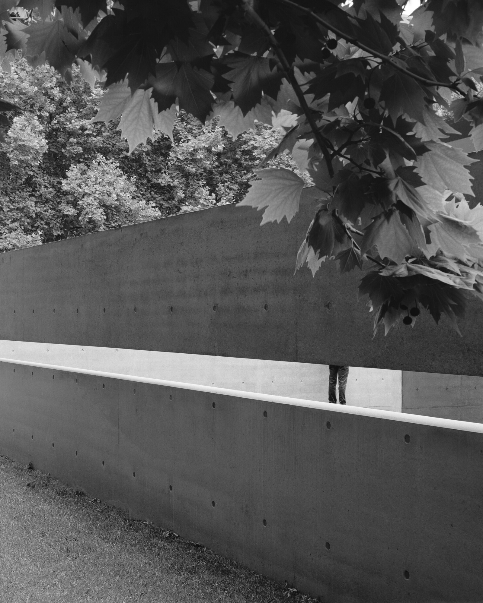 Concrete wall with cut opening at MPavilion 10, 2024. Photo by Rory Gardiner, courtesy of MPavilion.