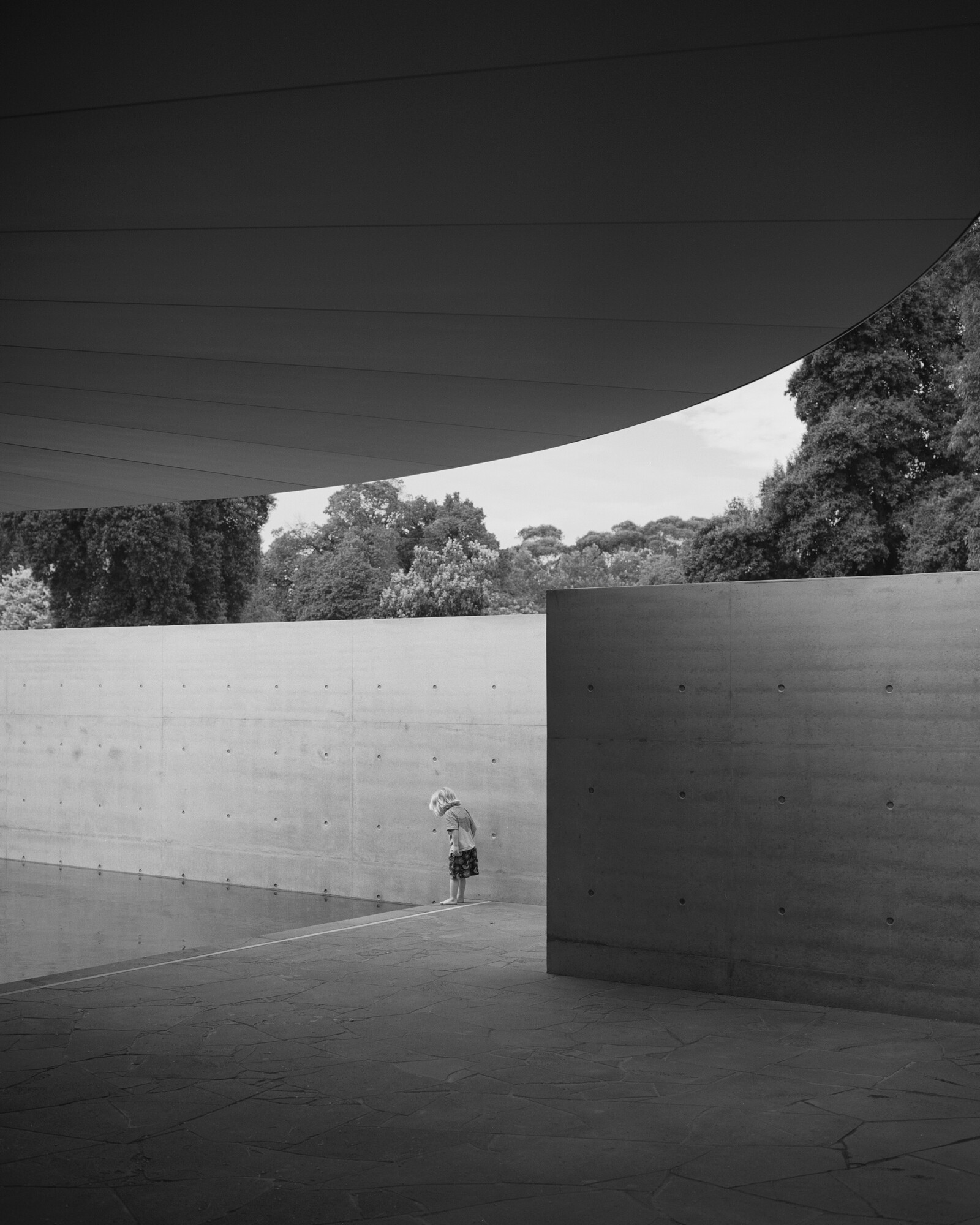 Interior view of MPavilion 10, 2024. Photo by Rory Gardiner, courtesy of MPavilion.