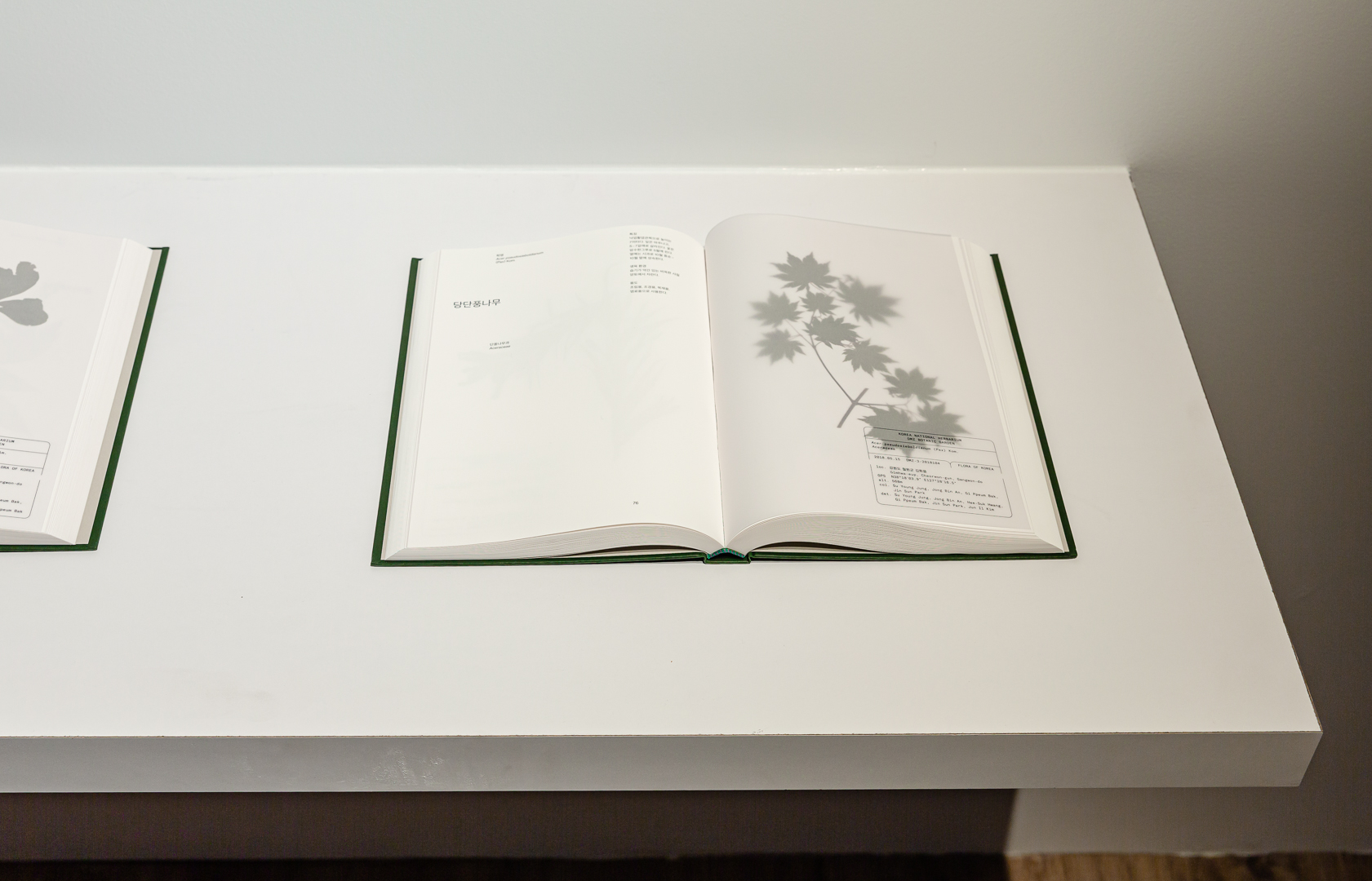 Installation view. Kyung Jin Zoh, Hye Ryeong Cho, <em>DMZ Botanic Garden</em>, 2019, books, slideshow, 9 min 48 sec, Korean Cultural Centre Australia, Sydney, 2022. Courtesy of the Culture Station Seoul 284, Korean National Arboretum, Workroom. Image courtesy the artist, Korean Cultural Centre Australia.