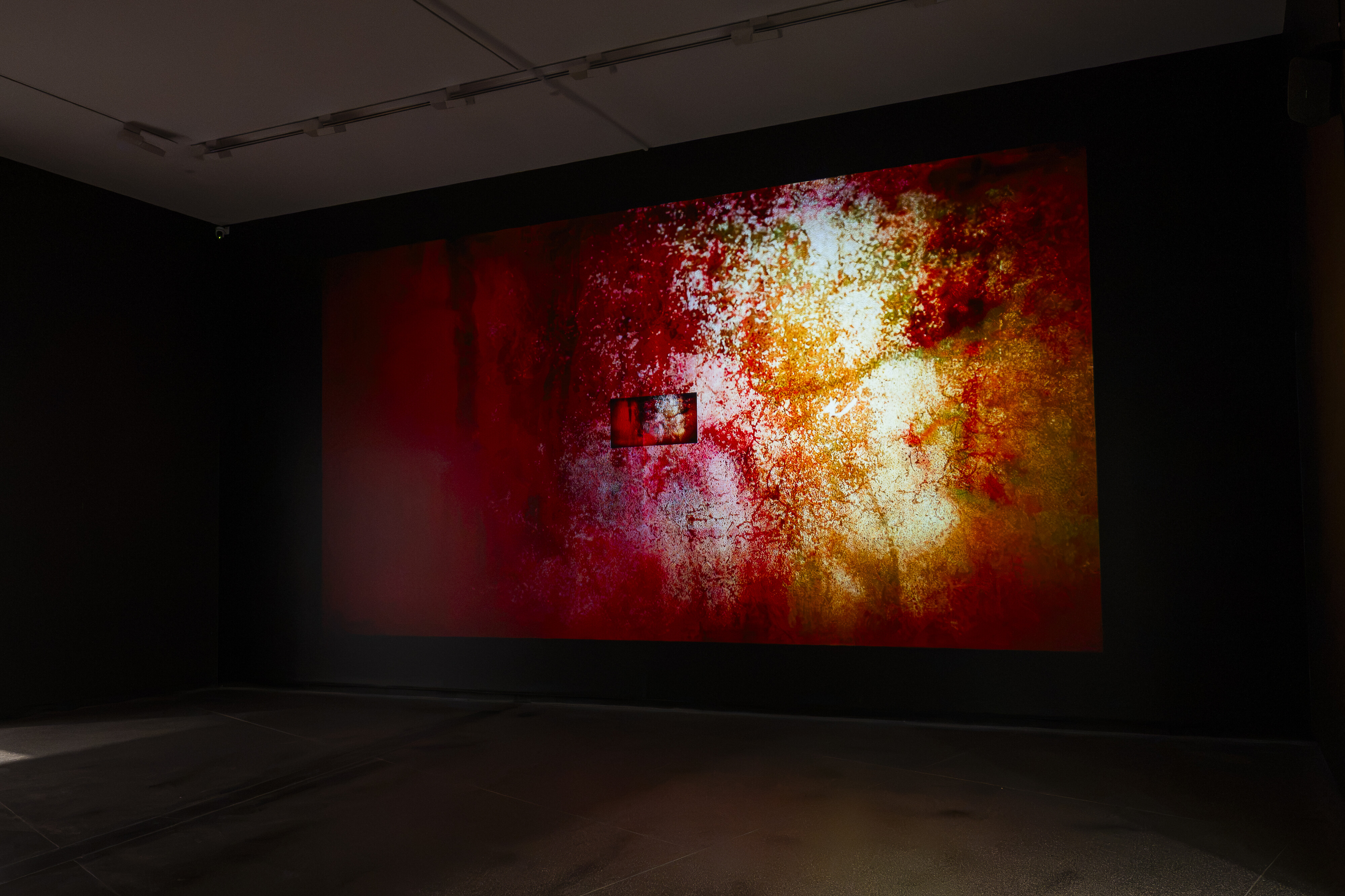 <p>Installation view of Amanda Bell, <em>Feel it all. Then let it go., </em>2026, <em>NEW26</em>, Australian Centre for Contemporary Art, Naarm/Melbourne. Photograph: Carmen Zammit</p>