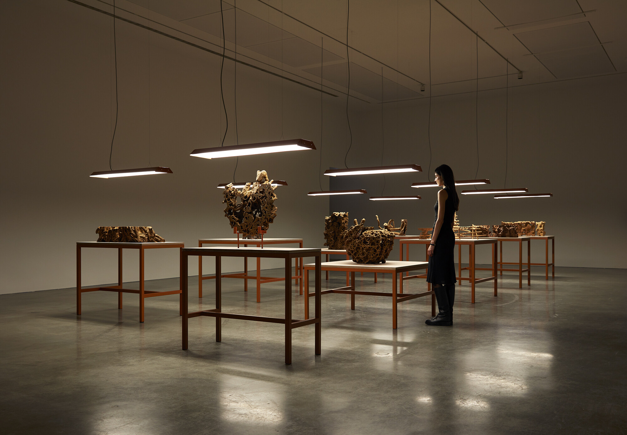 <p>Nicholas Mangan, <em>Termite Economies</em>, 2018-20, installation view, <em>Nicholas Mangan: A World Undone</em>, Museum of Contemporary Art Australia, 2024, image courtesy the artist, Museum of Contemporary Art Australia, Sutton Gallery, Australia and LABOR, Mexico © the artist, photograph: Zan Wimberley.</p>
