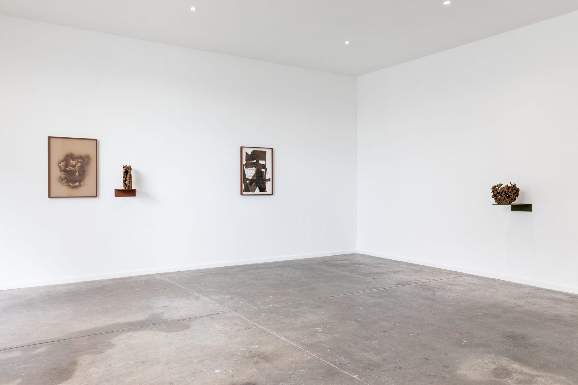 Nicholas Mangan, Termite Economies (Neural Nodes and Root Causes), 2020, Installation view. Photography: Andrew Curtis.