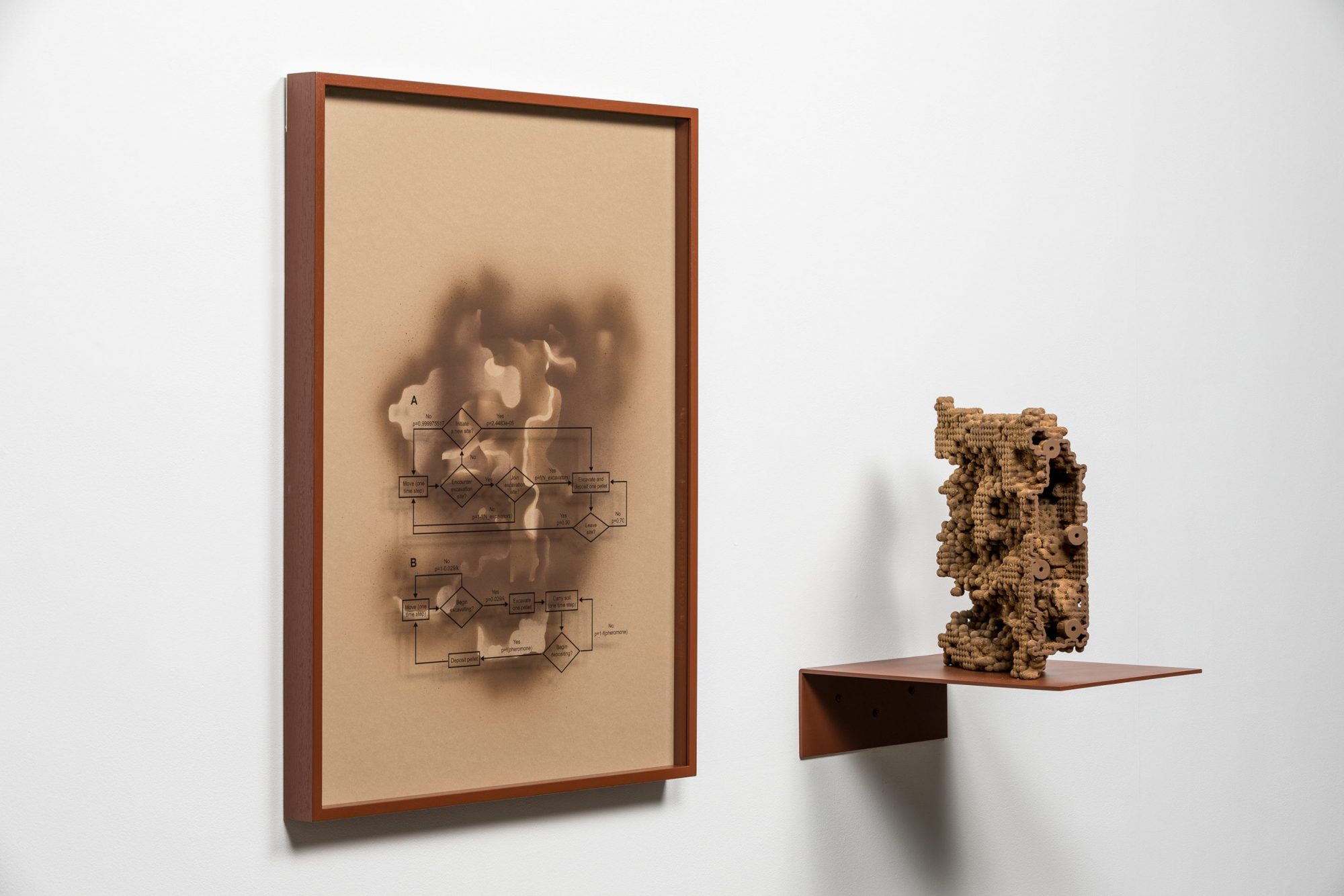 Nicholas Mangan, Termite Economies (Neural Nodes and Root Causes), 2020. Installation view. Photography: Andrew Curtis.