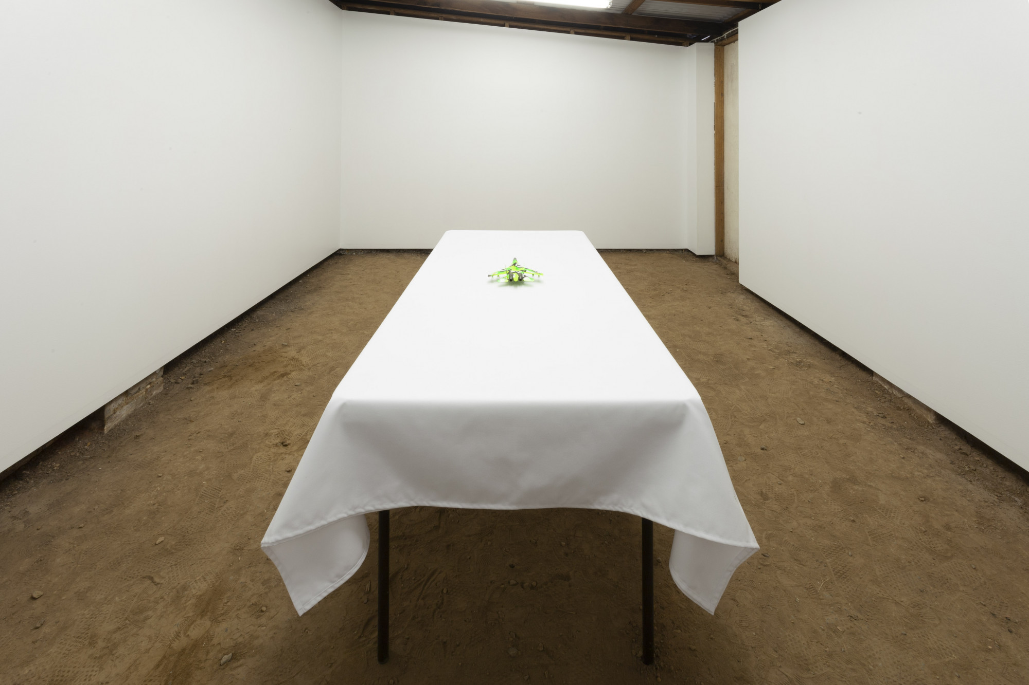 Installation view of Nicolas Ceccaldi, Camouflage Chameleon, 2021.
