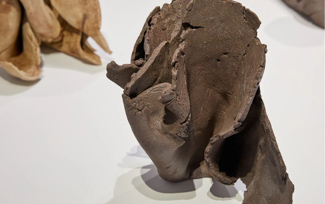 Nicole Foreshew, <em>Remain</em> (2015), Clay and iron oxide forms, Murray Art Museum Albury. Photo: Jeremy Weihrauch